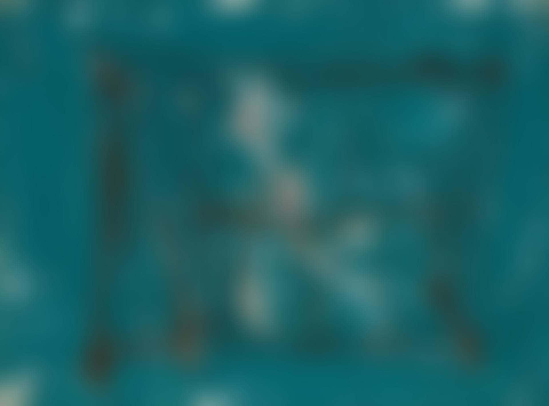 29.12.49 (preview)