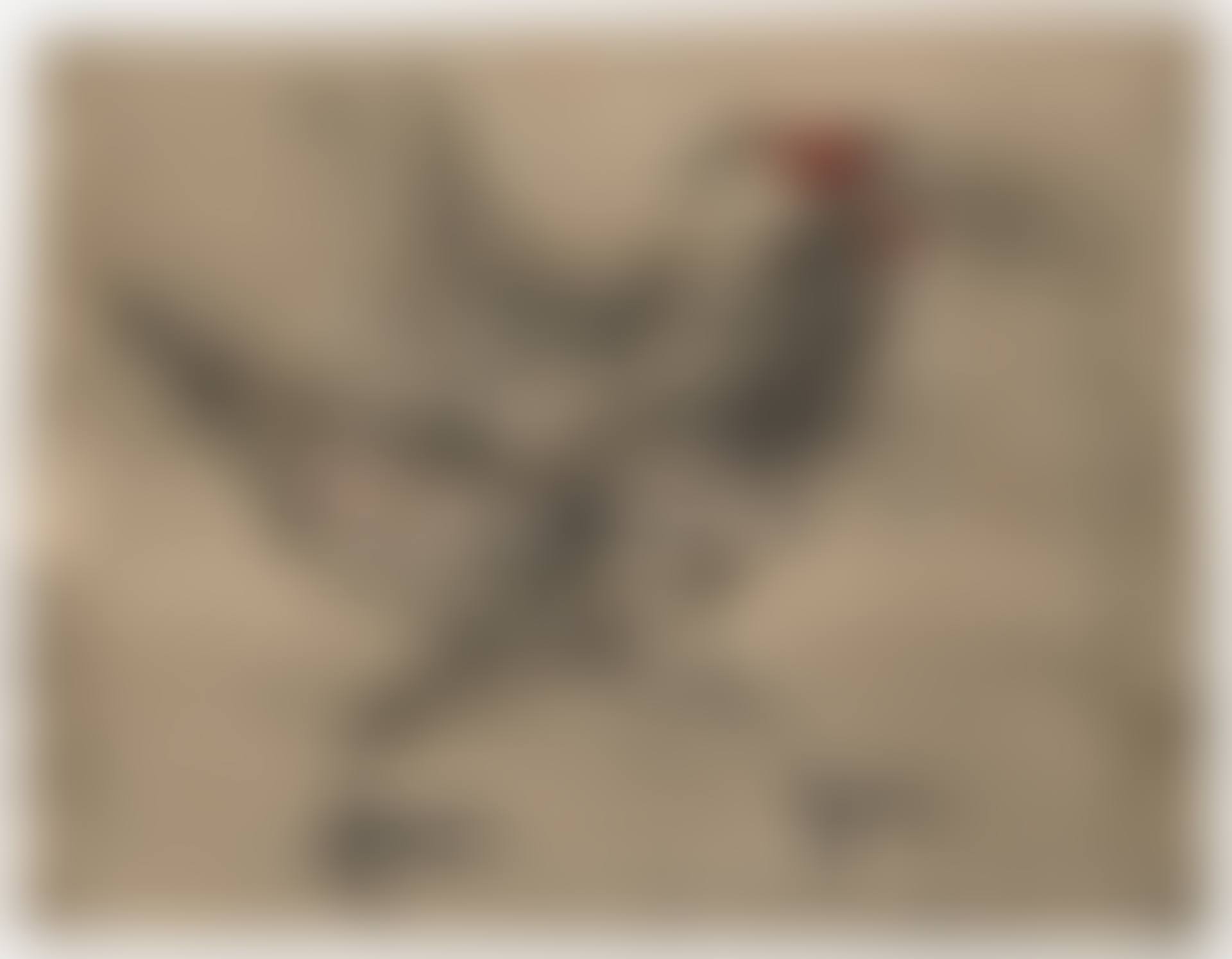 Untitled (preview)