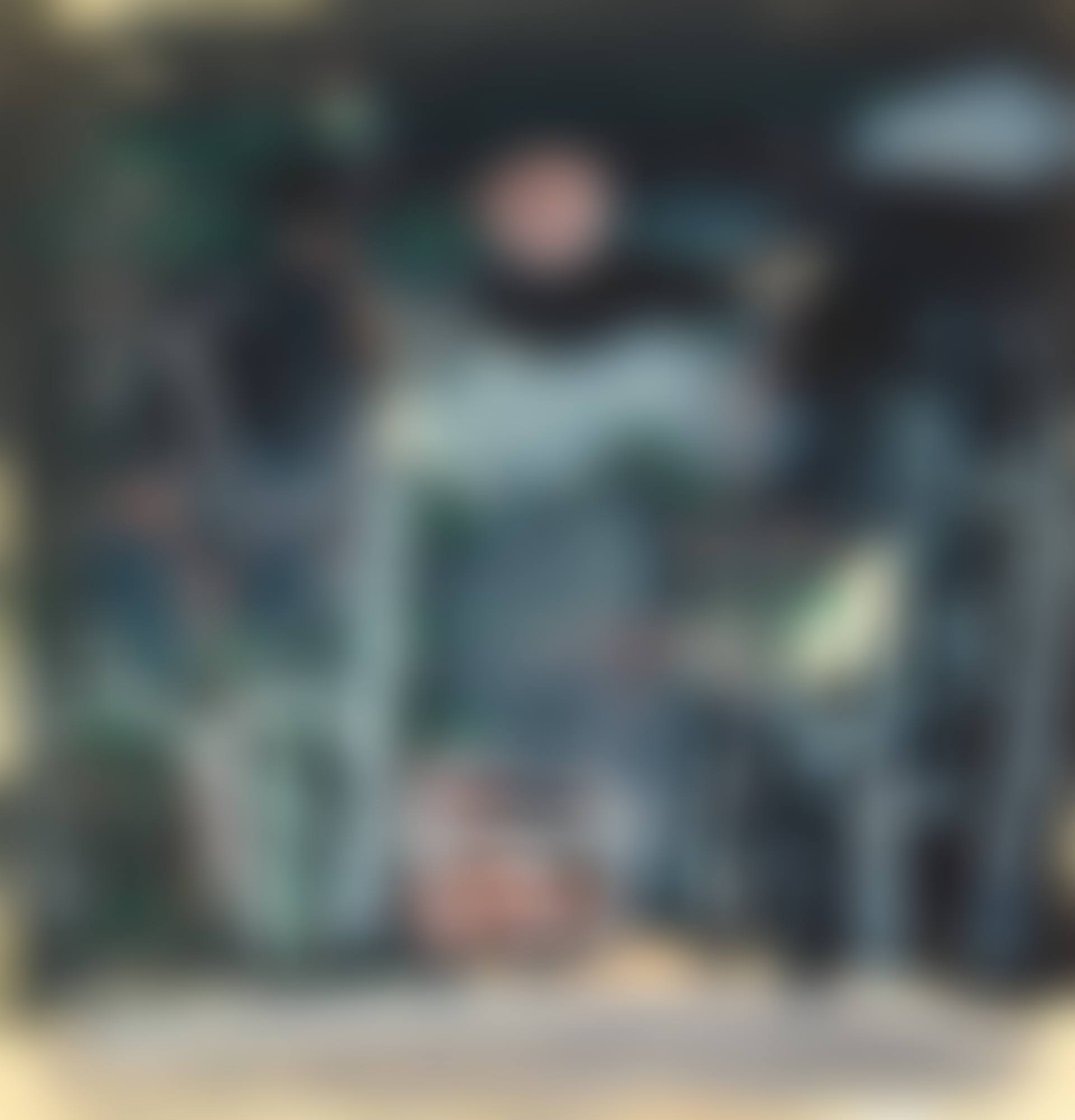 Untitled (preview)