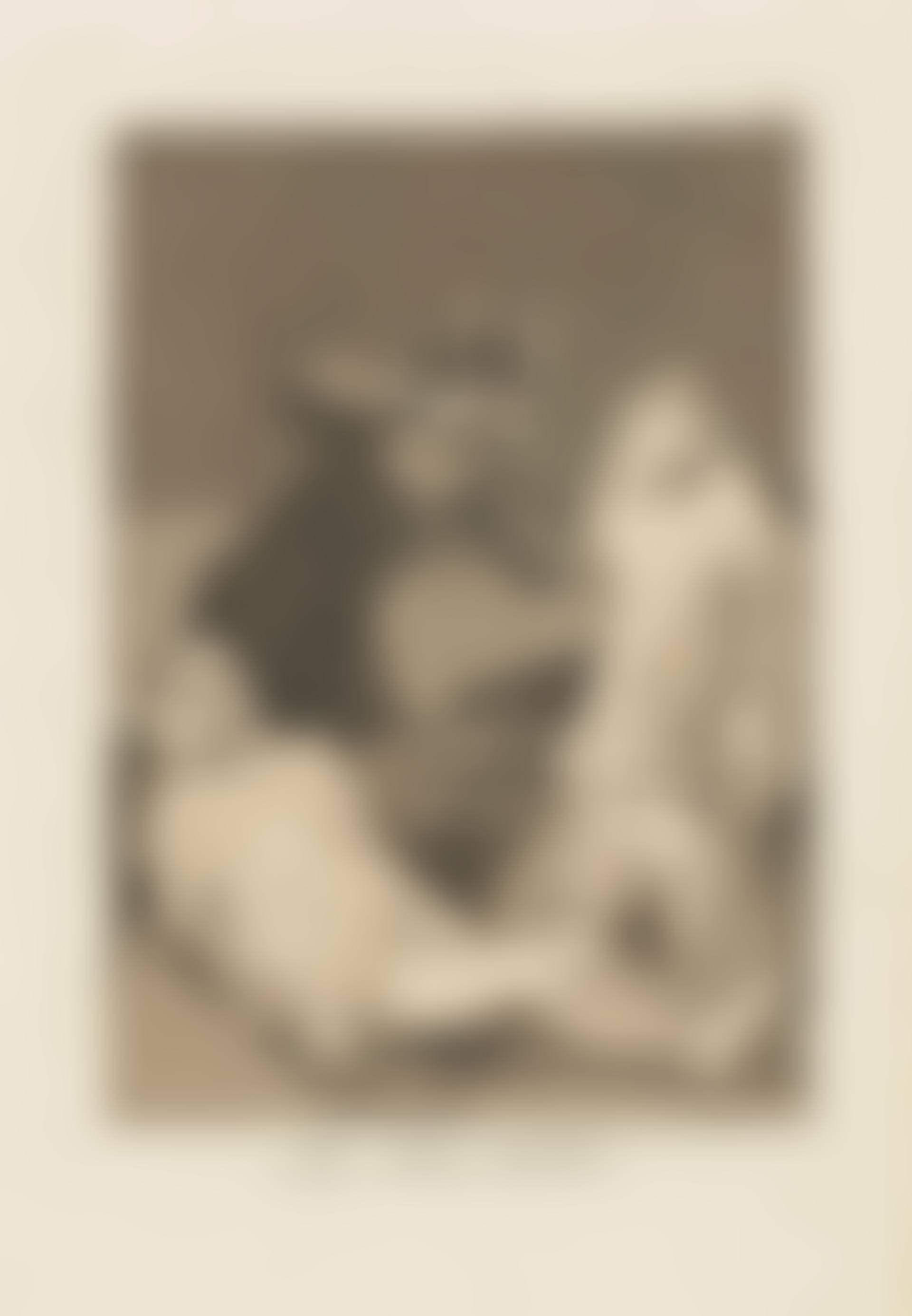 Los Chinchillas, plate 50 from: Los Caprichos (preview)