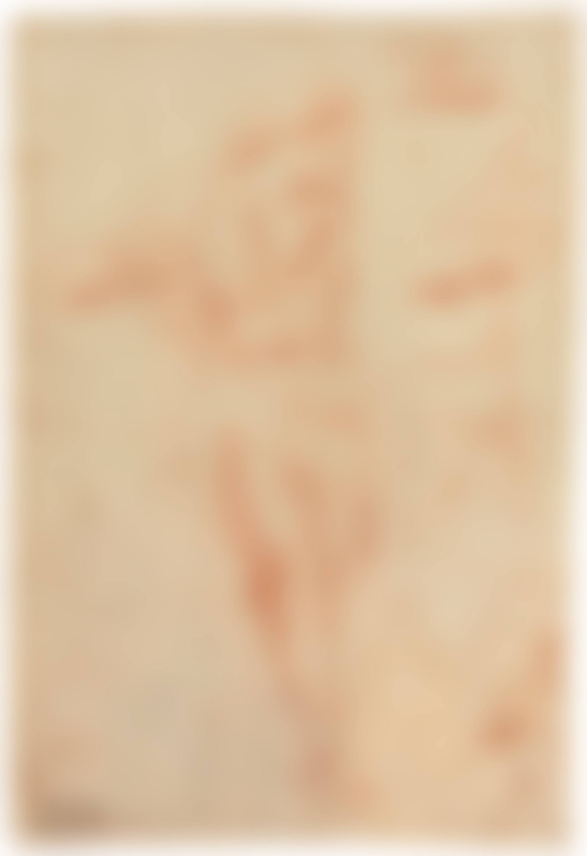 Studies for a young woman turned to the right (recto); Studies for her head in profile and left hand (verso) (preview)