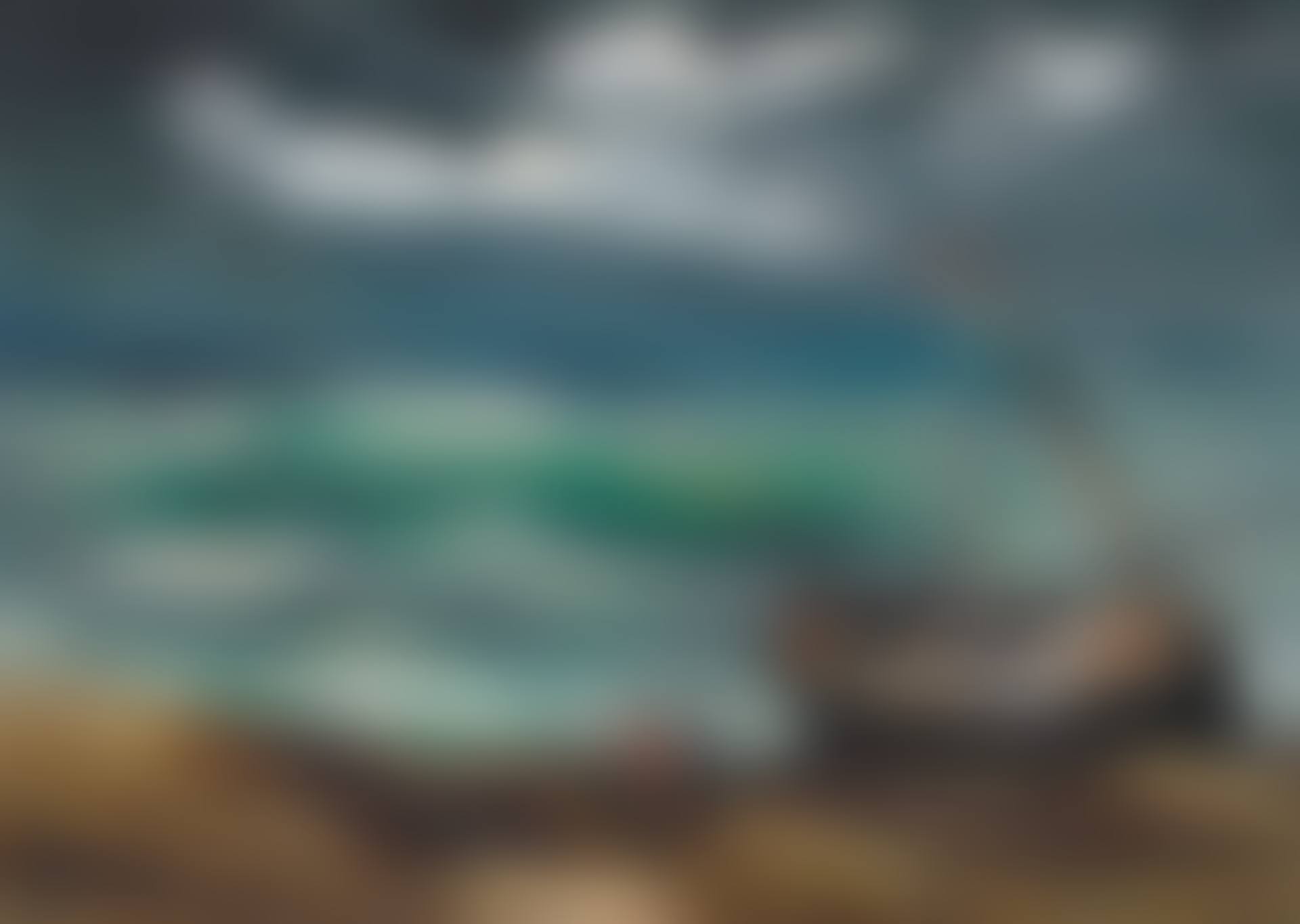 La barque de pêche (preview)