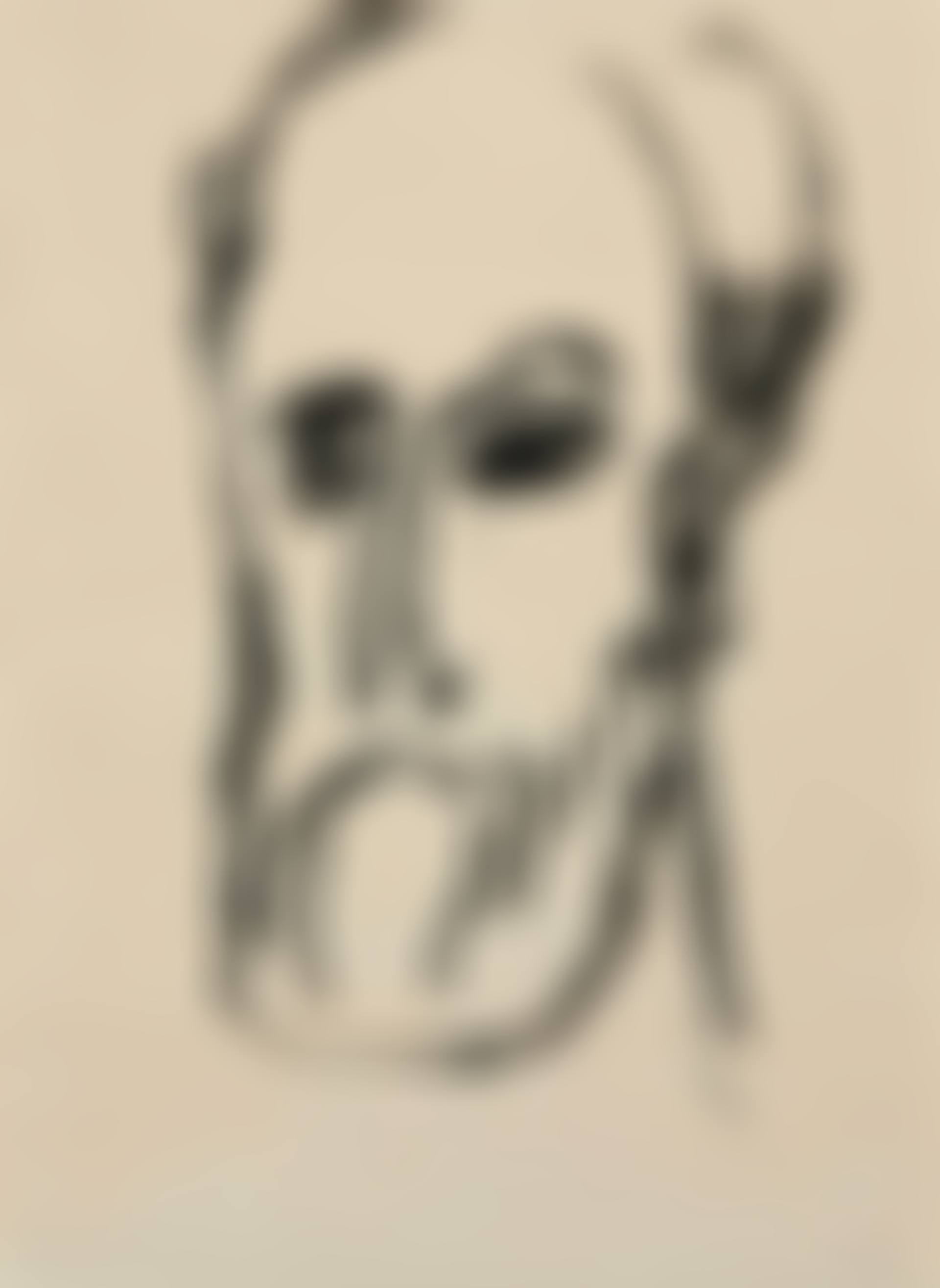 Apostelkopf (preview)