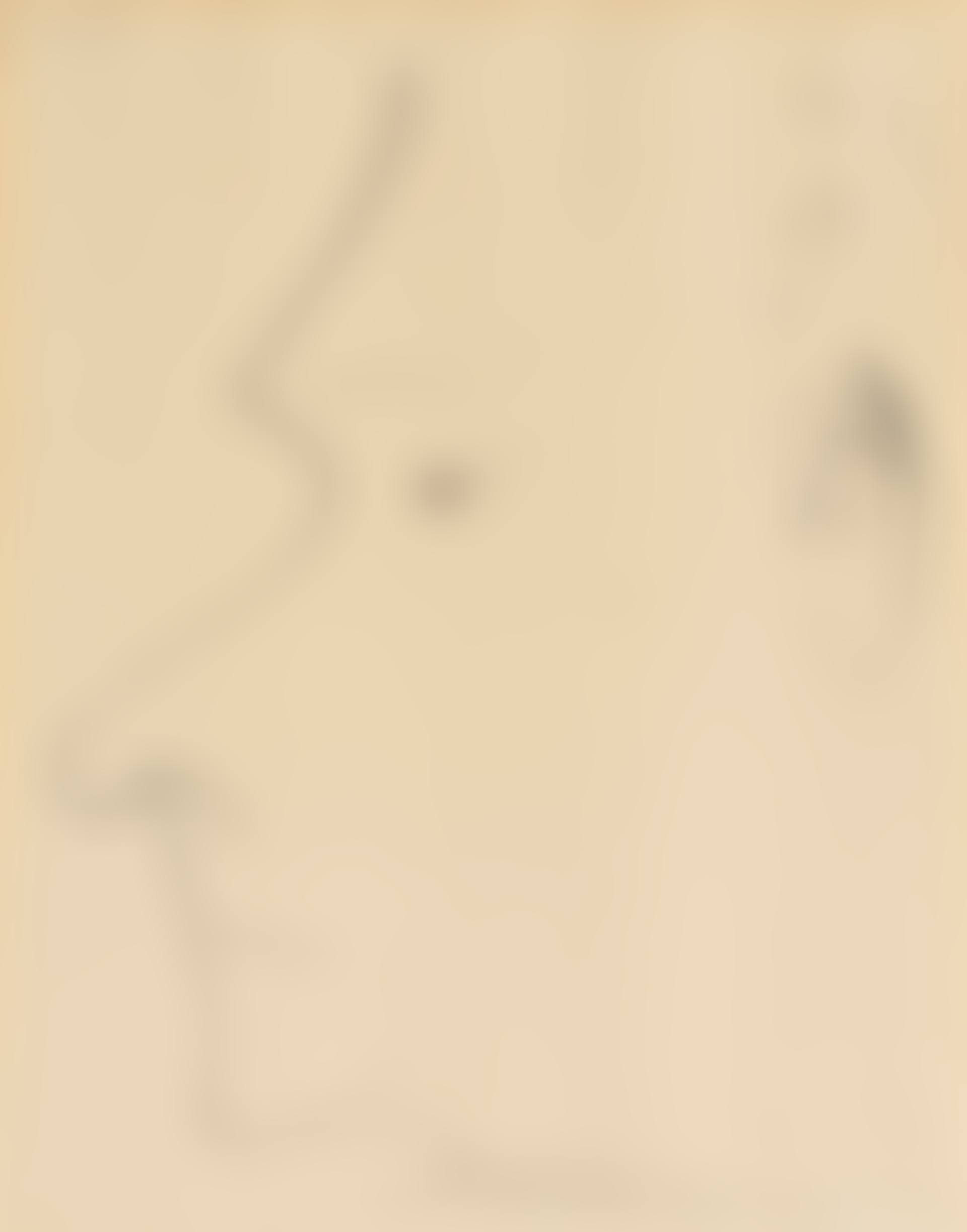 Profil d'homme (recto); Deux hommes de profil (verso) (preview)