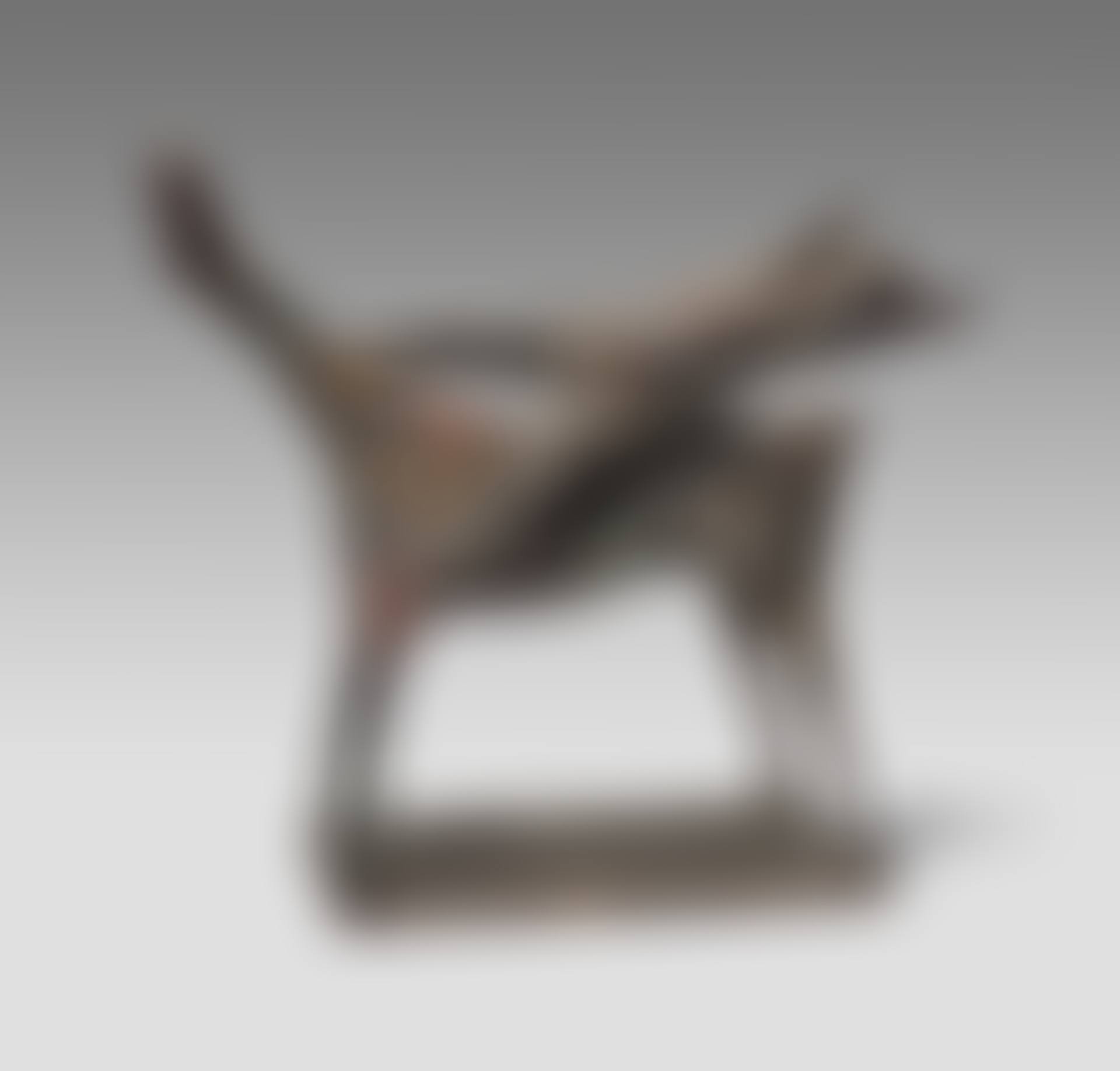 Piccolo cavaliere (preview)