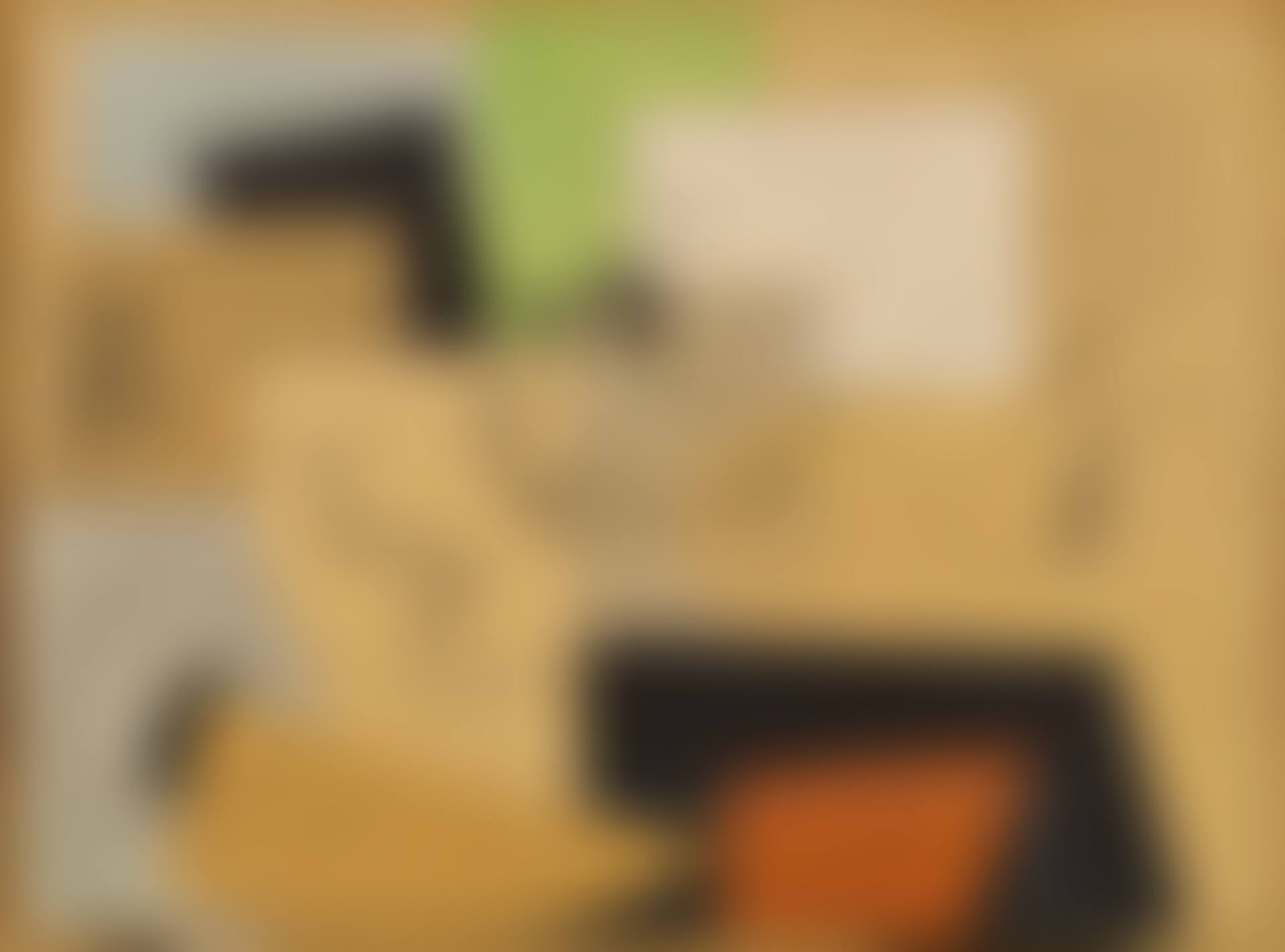 La Ciociara (preview)