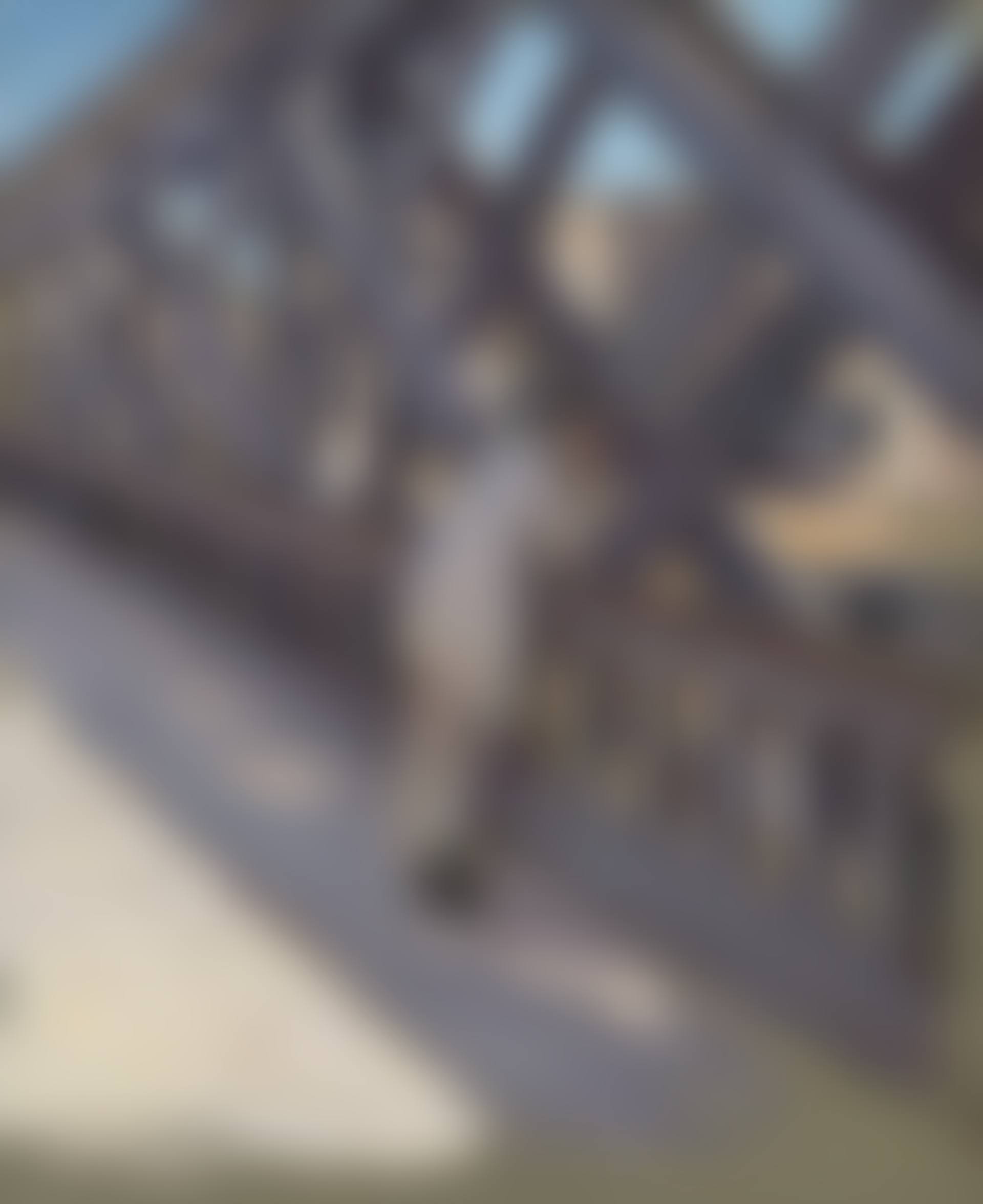 Le pont de l'Europe – Étude partielle (preview)