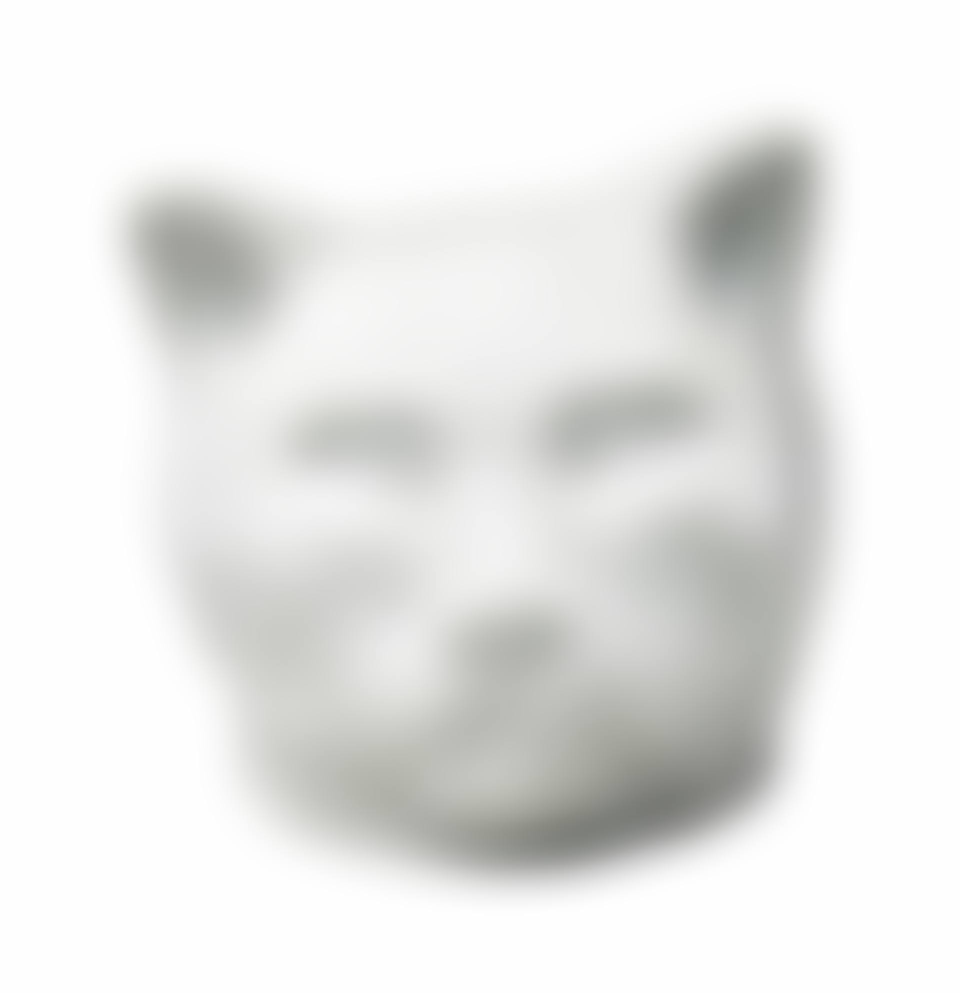 Cat (preview)