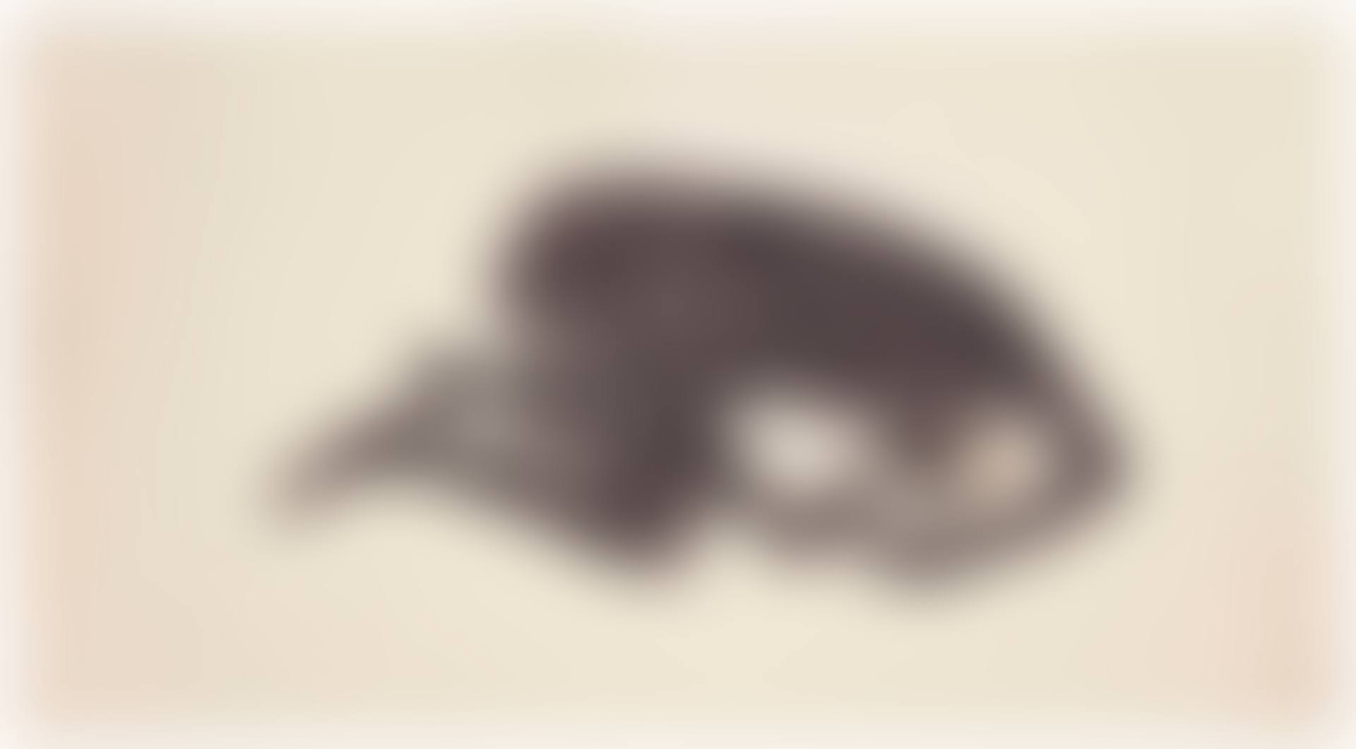 Sueño (preview)