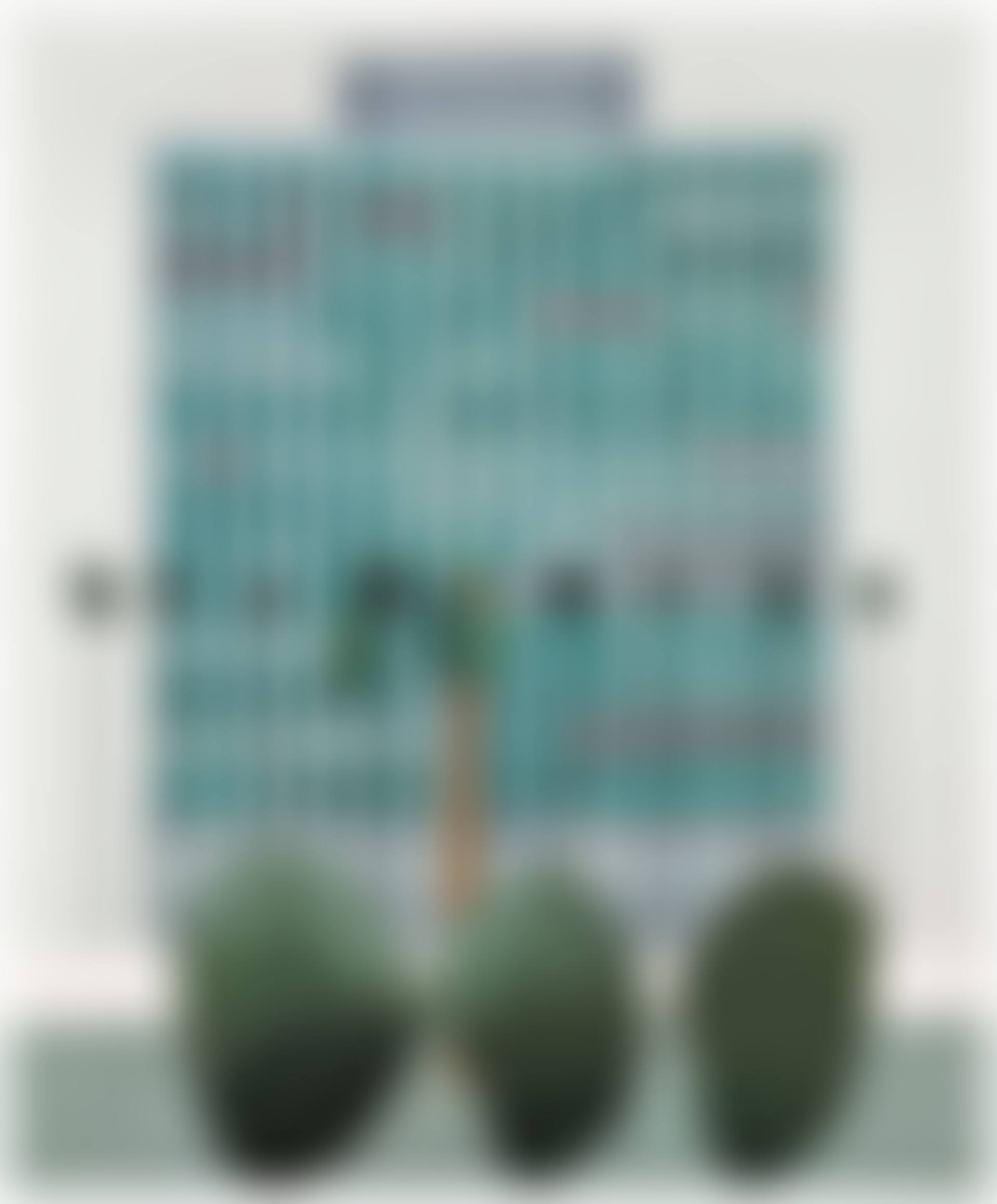 California Bank (preview)
