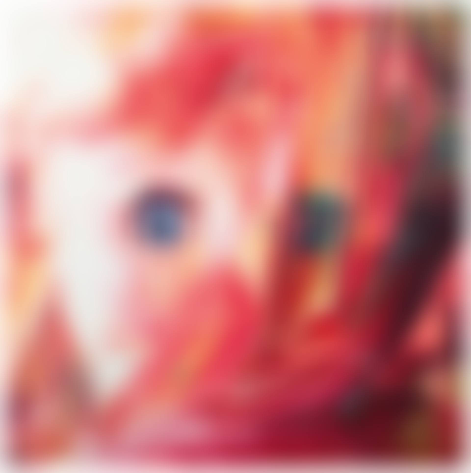The Serenade for the Doll after Claude Debussy, Gift Wrapped Doll #29 (preview)