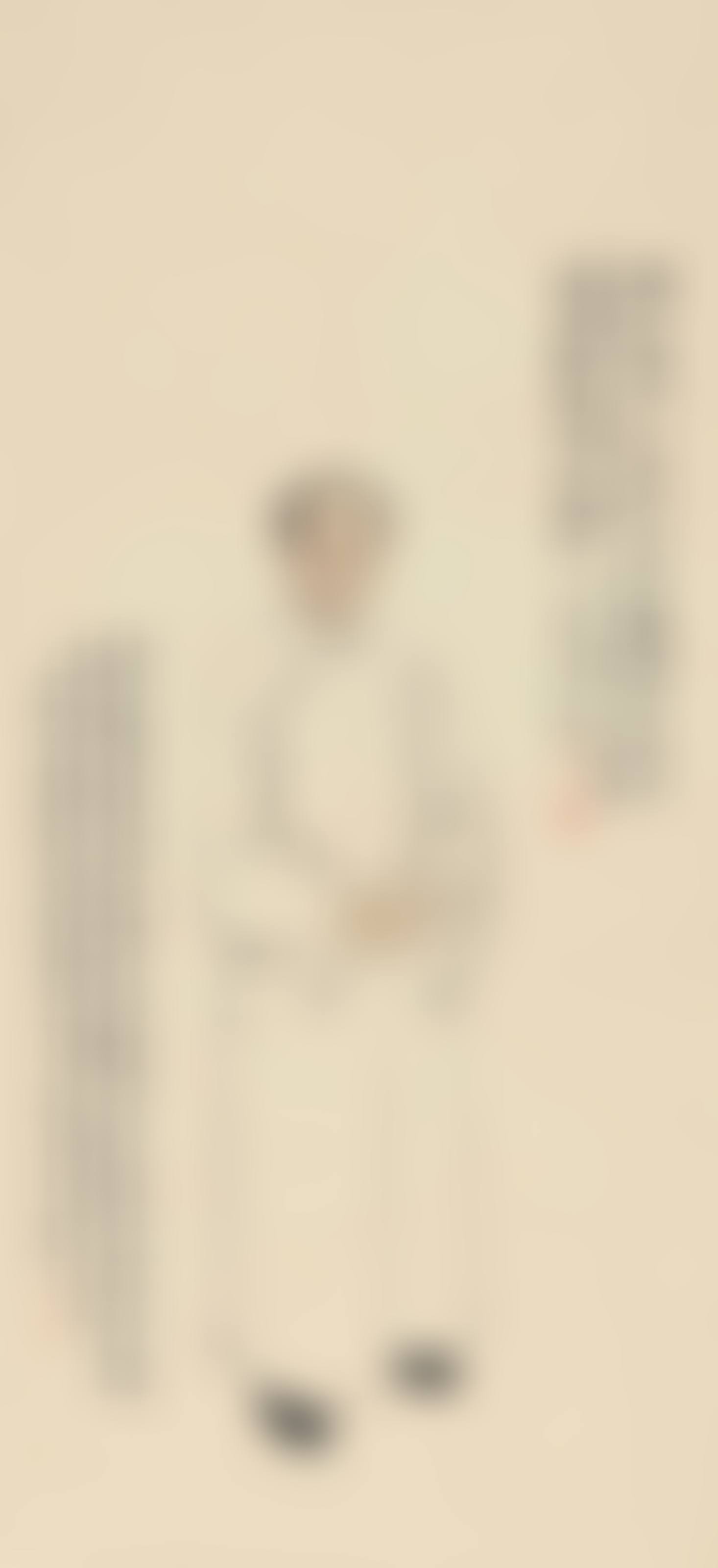 Portrait of Pu Ru (preview)