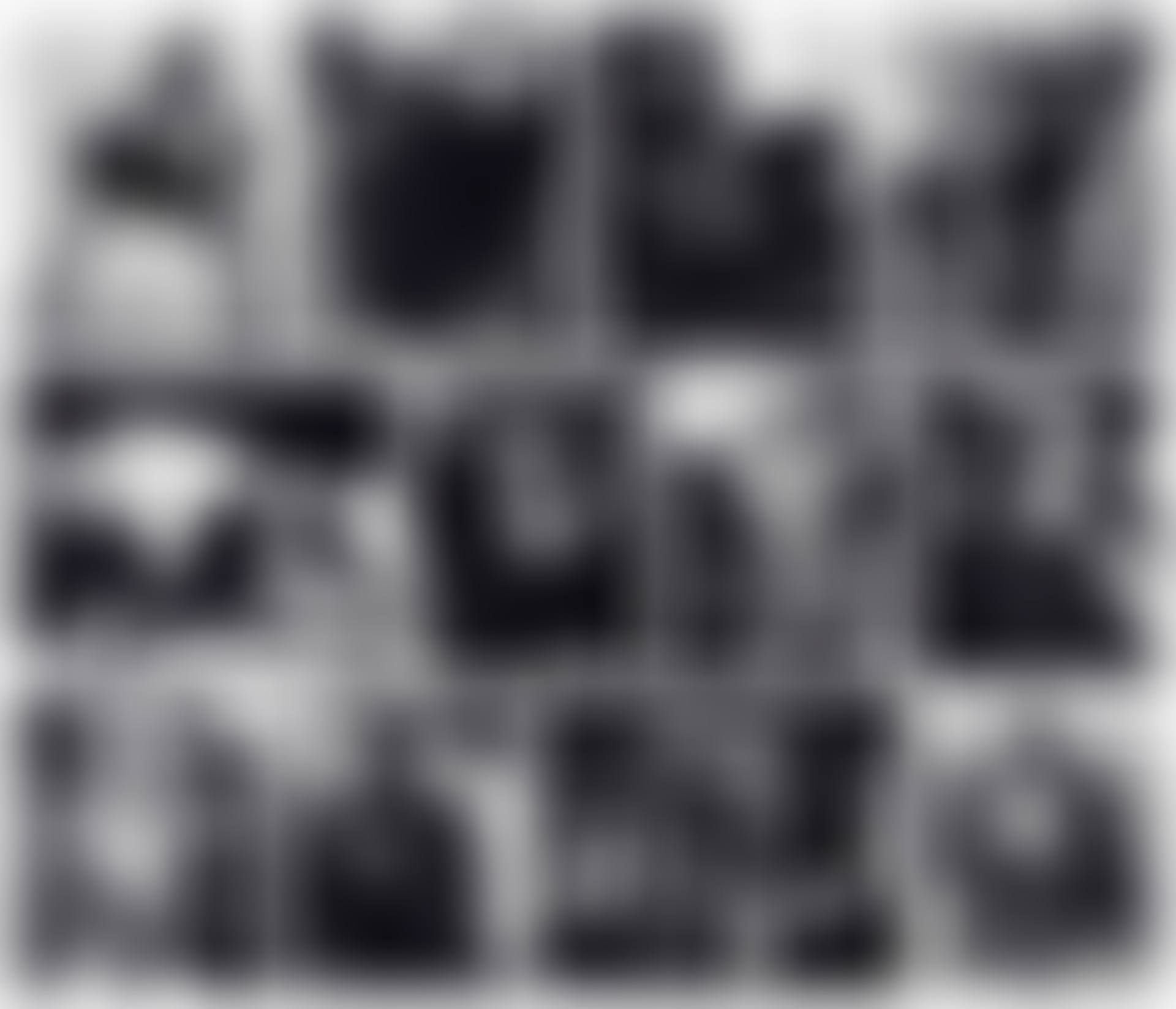 Lisette Model: Twelve Photographs (preview)