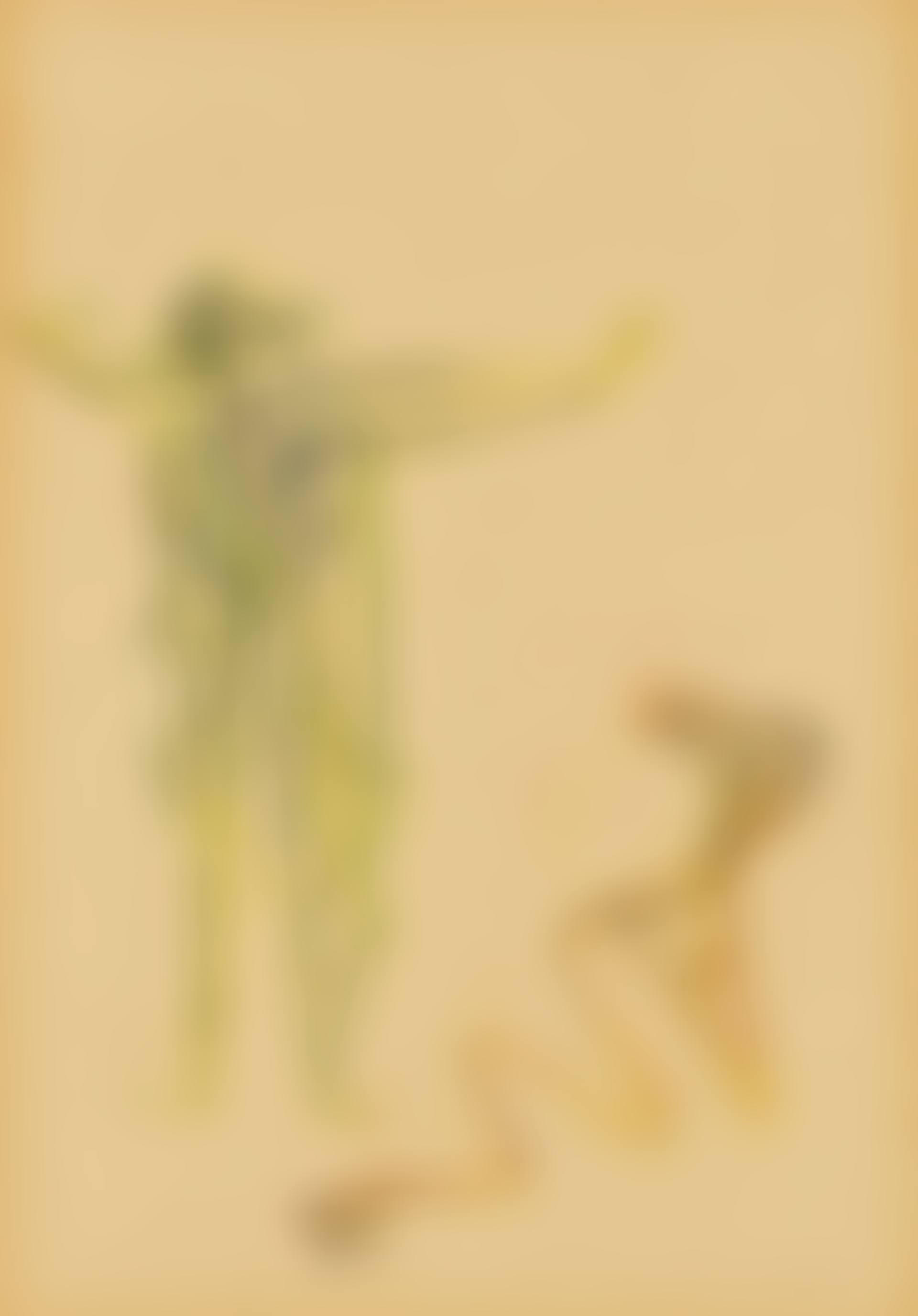 Deux hommes oiseaux (preview)
