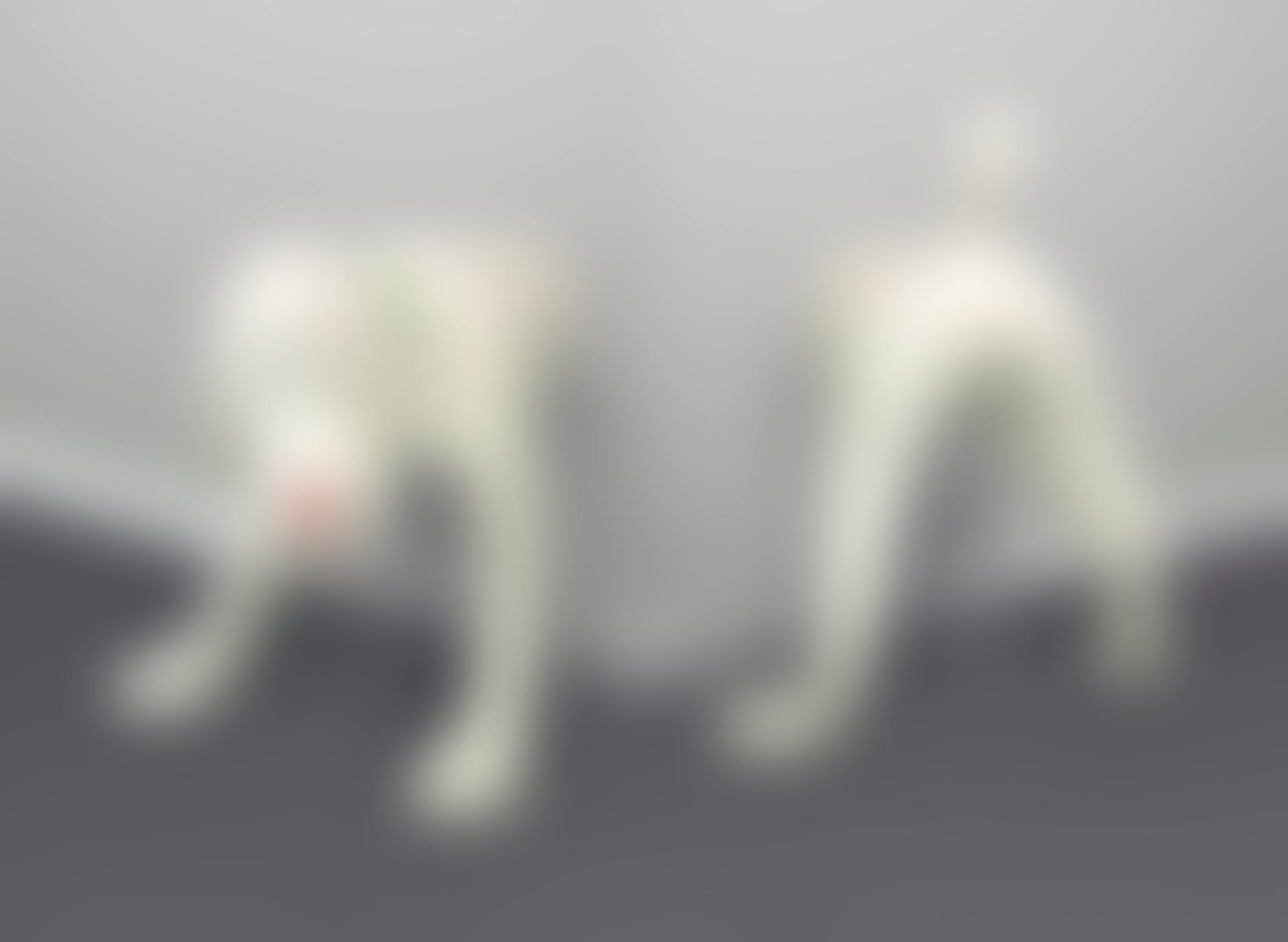 Dog from Screen Memory (preview)