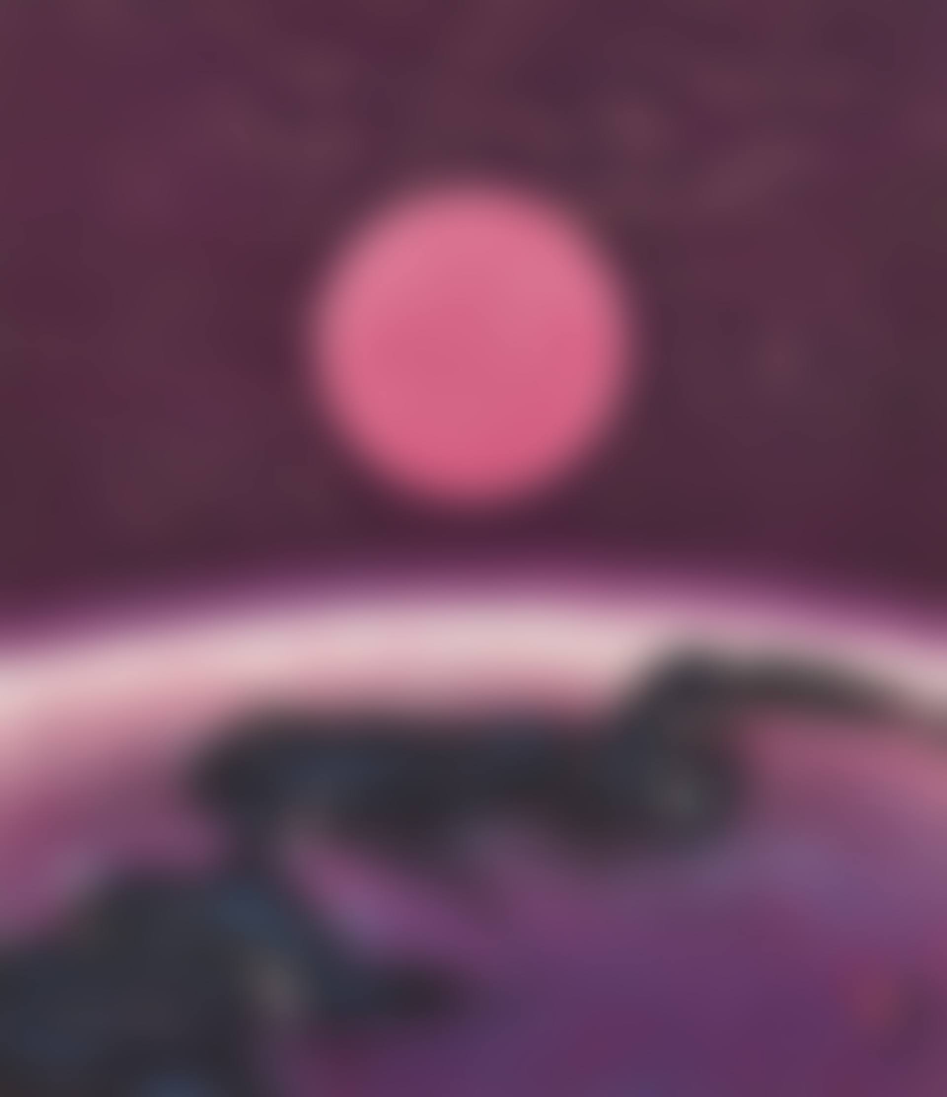 Metamorphosis of the Sun 42 (preview)