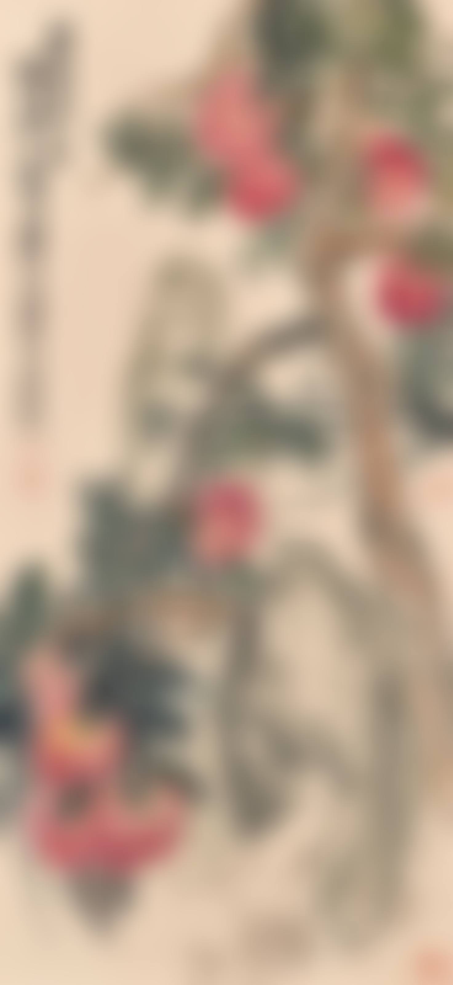 Pomegranates (preview)
