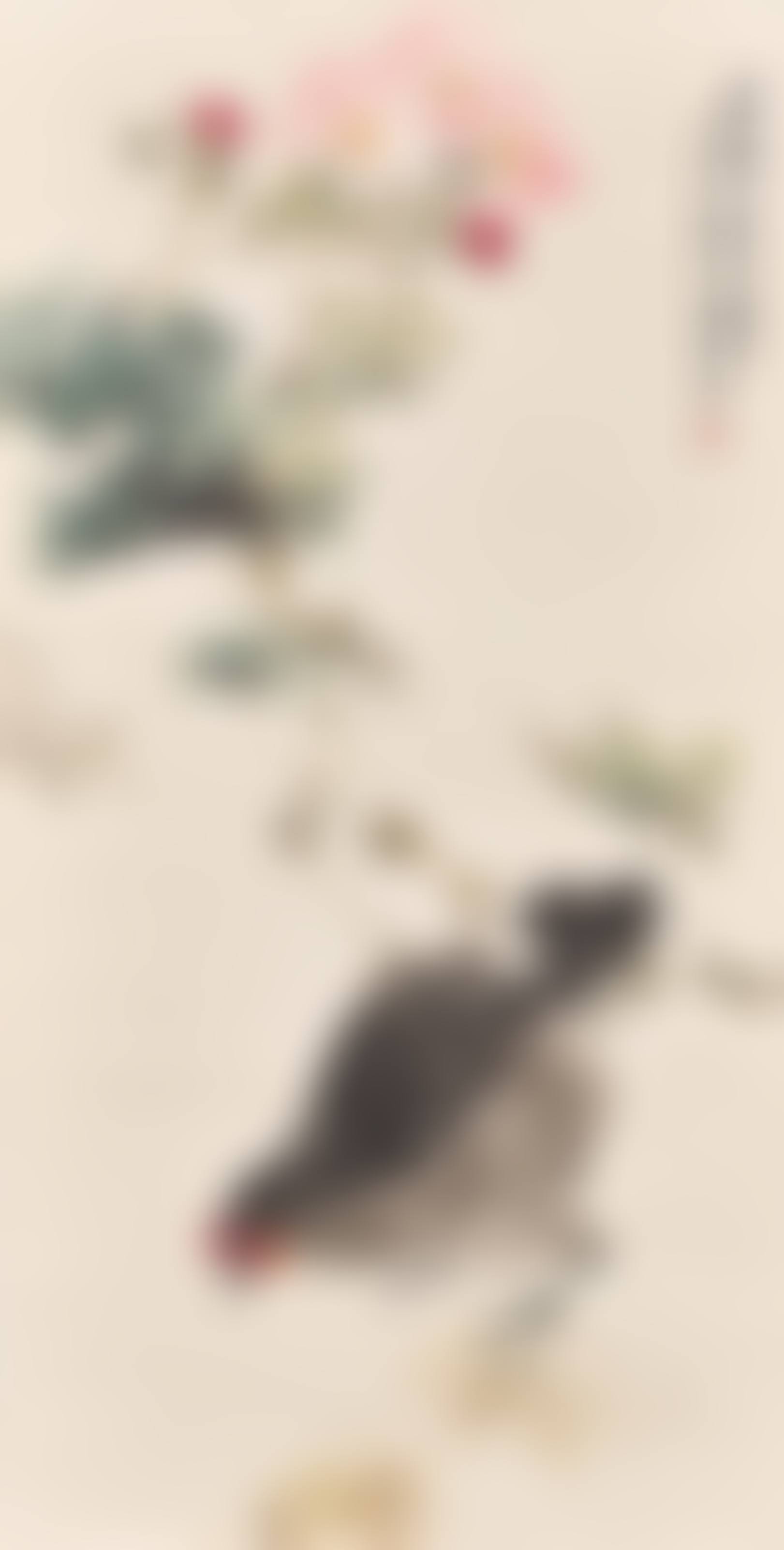Hibiscus and Hen (preview)