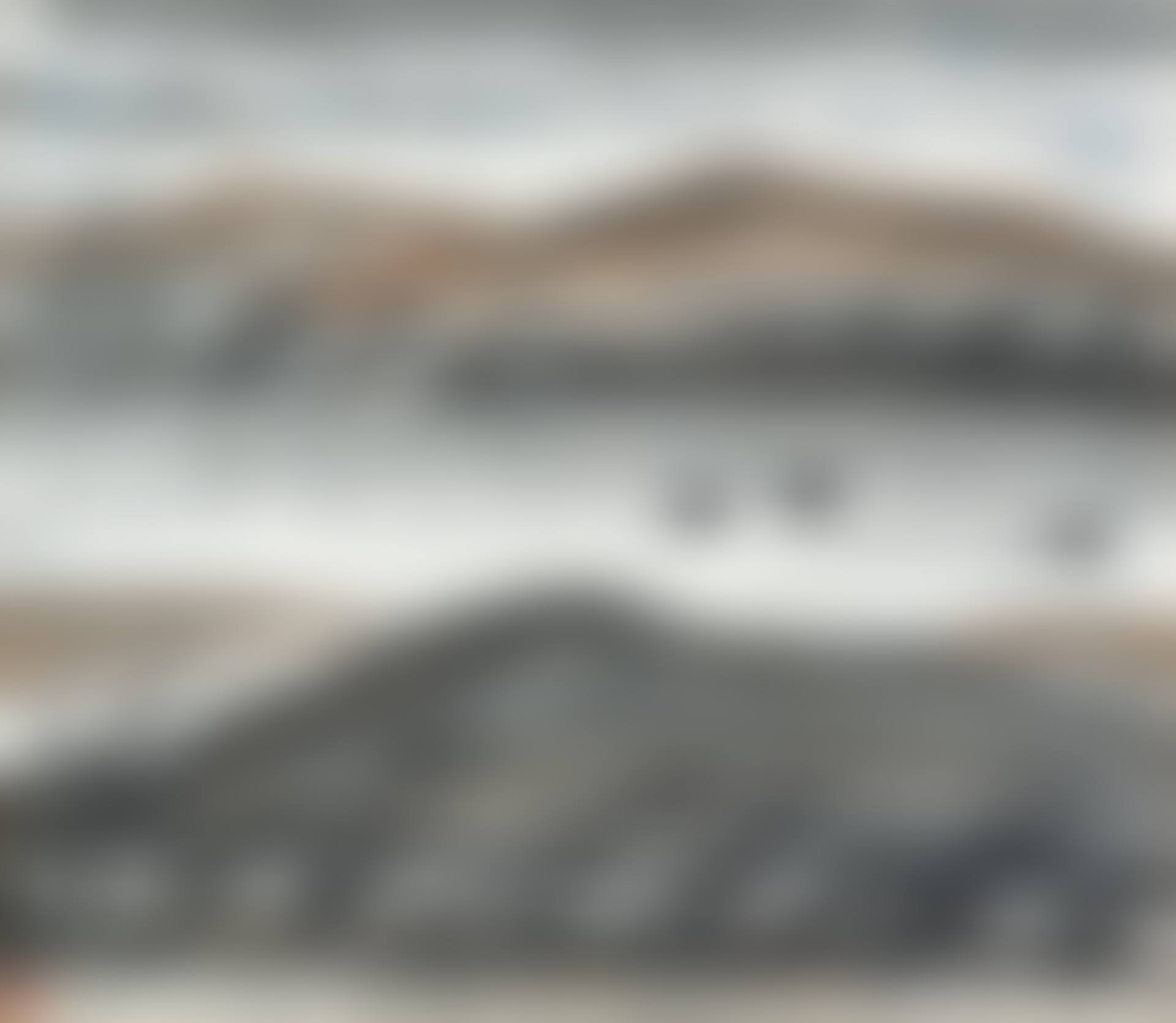 Geese Across the Pond (preview)