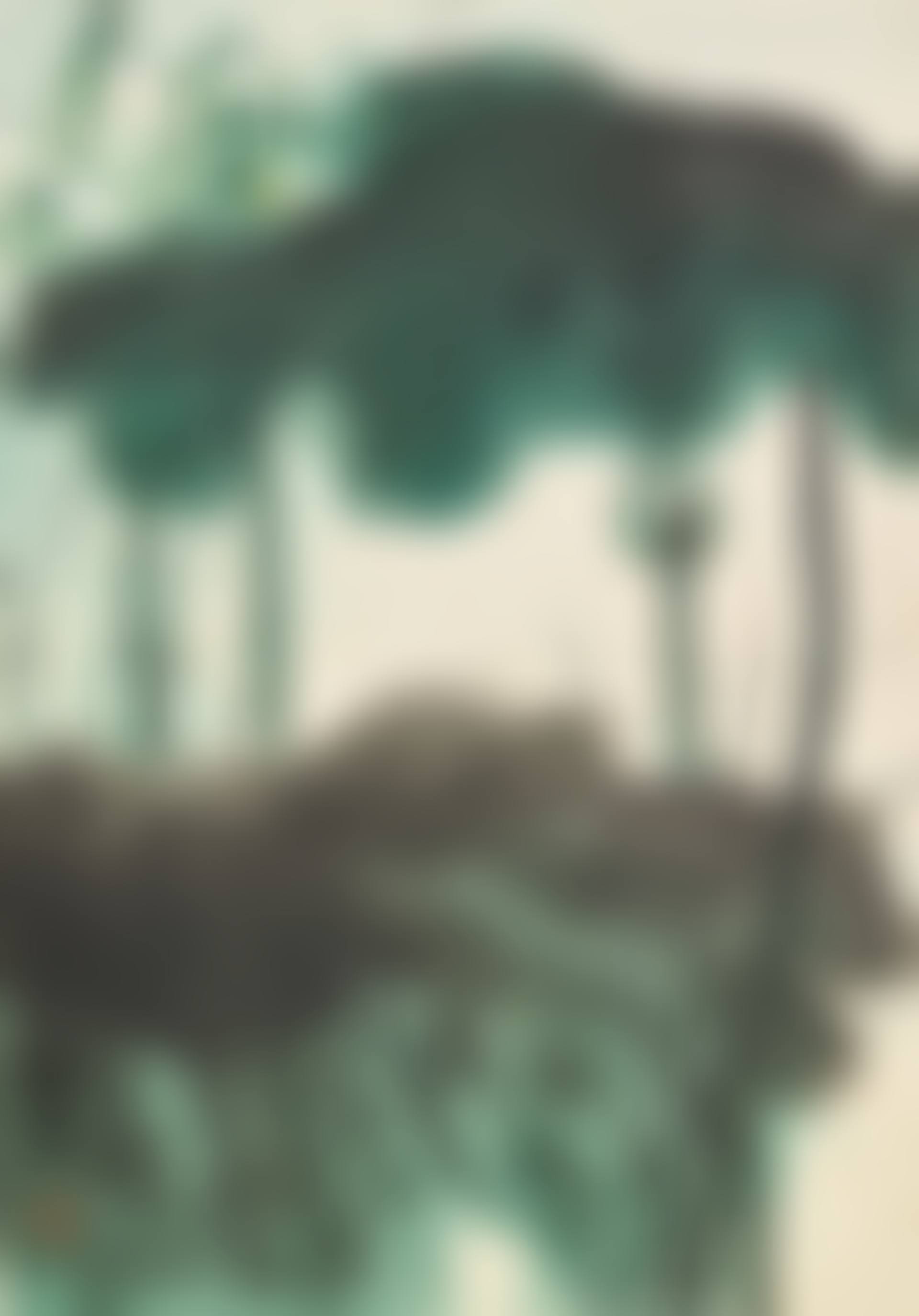 Lotus (preview)