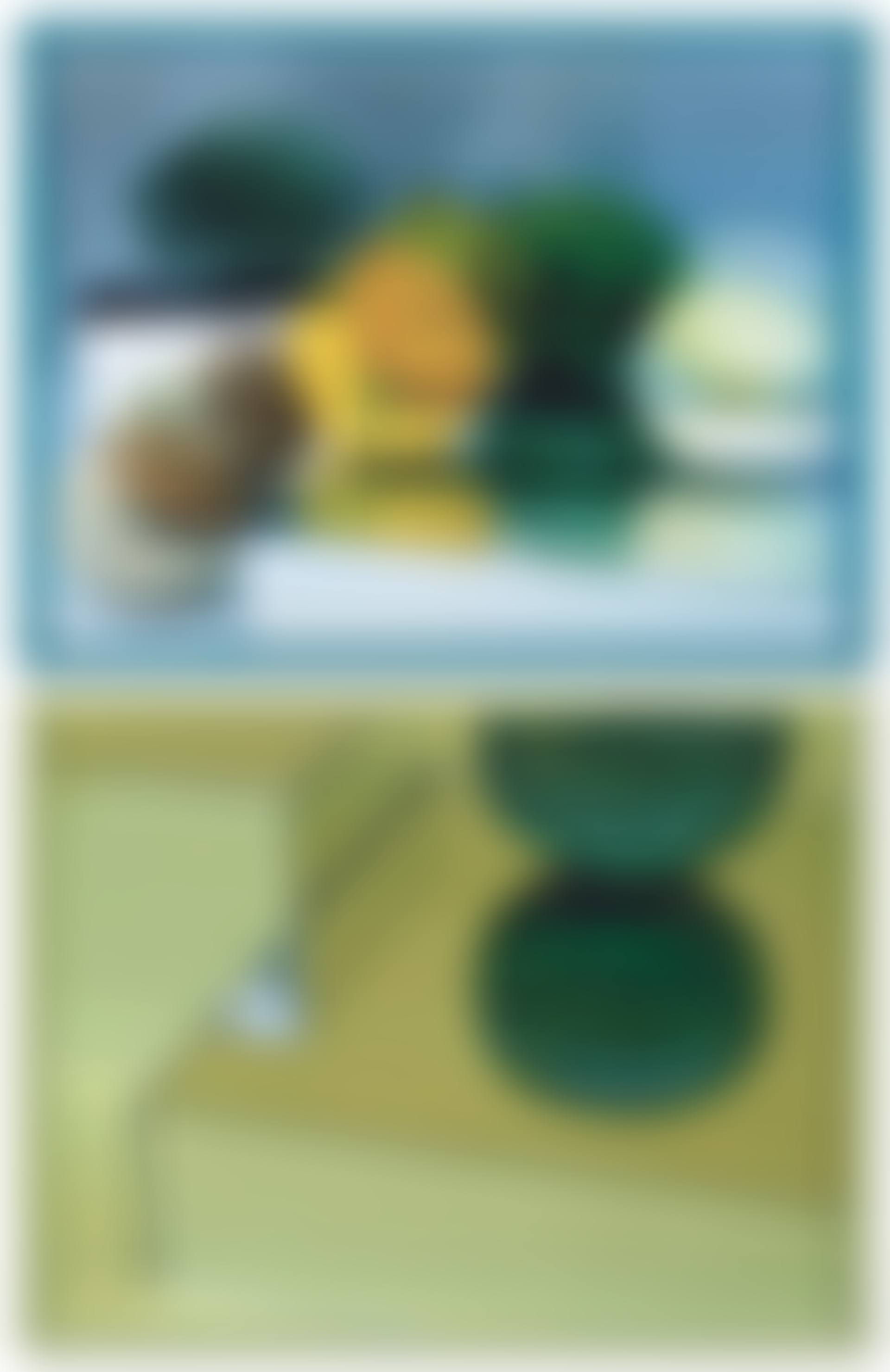 (i) Circles and Squares (A Tasteful Organic Melons Arrangement) 1 (ii) One Watermelon, Two Heads (preview)