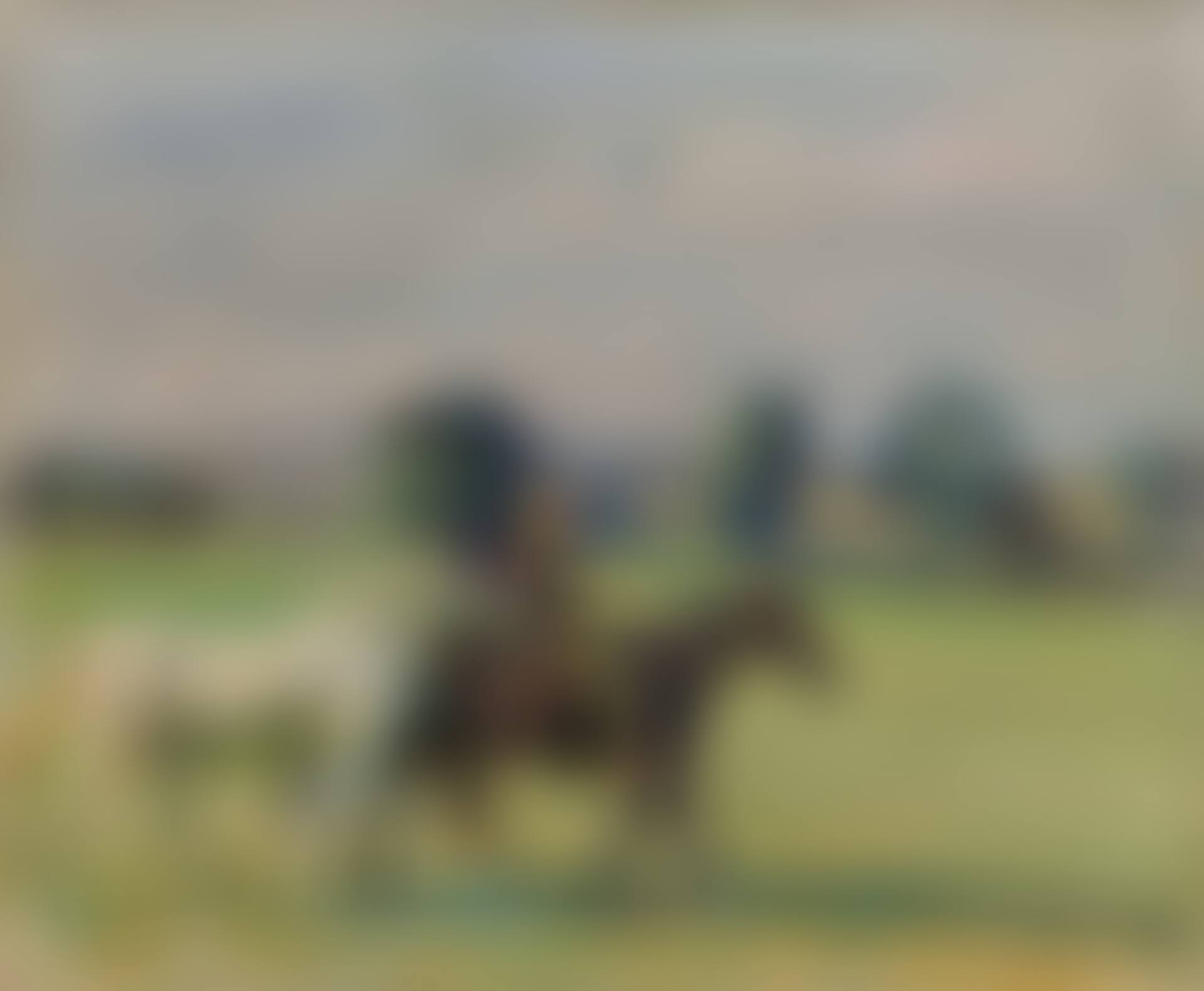 Exercising the pony (preview)