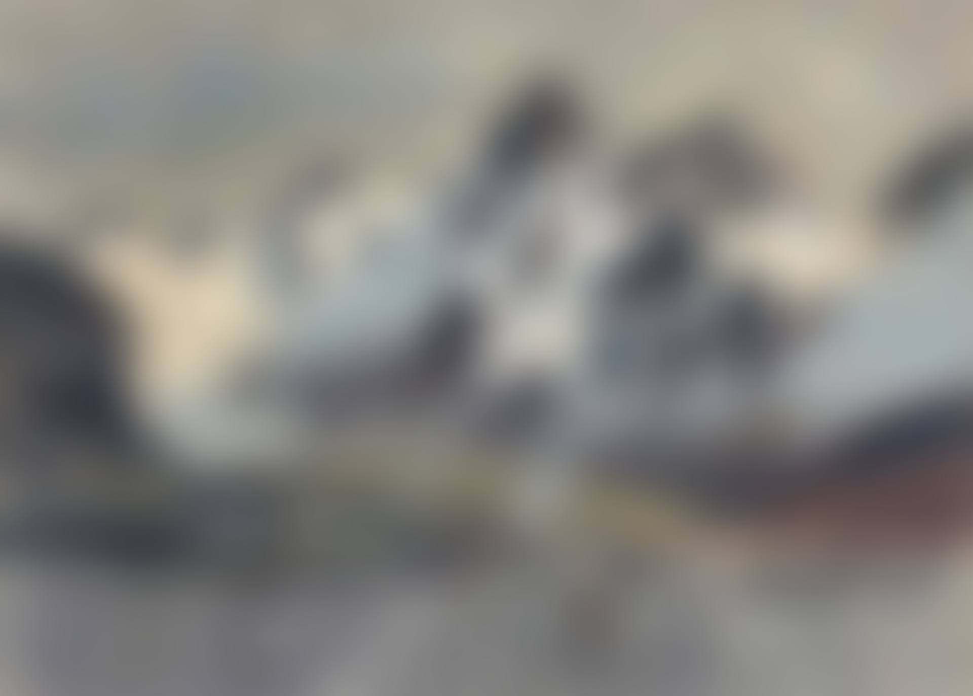The Whaling Station, Leith Harbour, South Georgia (preview)