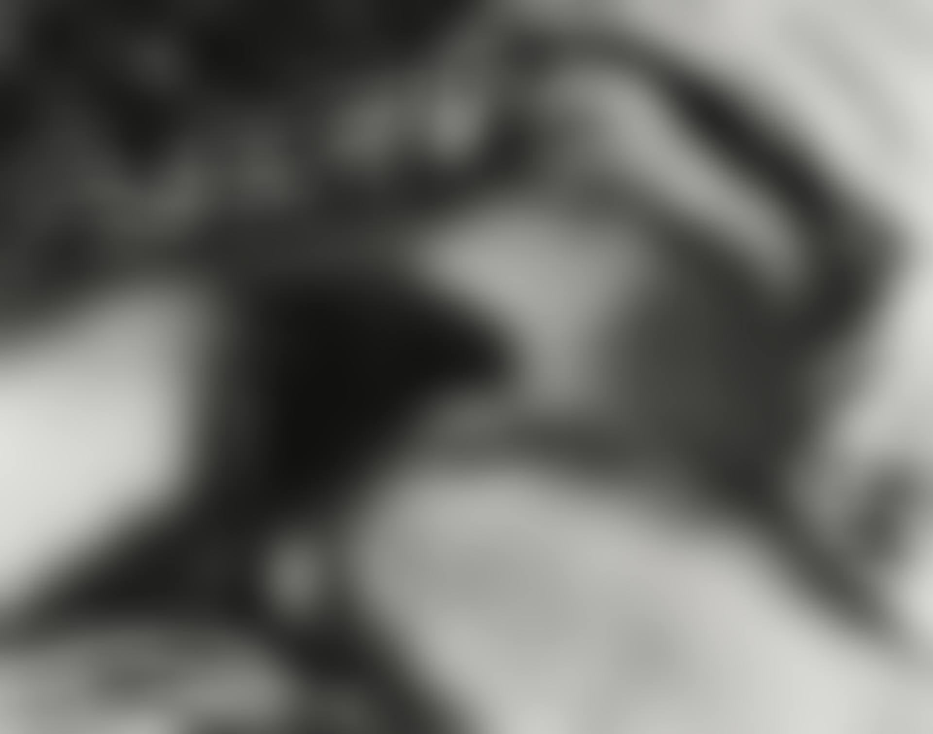The Origin of the World, after Courbet, from Pictures of Soil (preview)