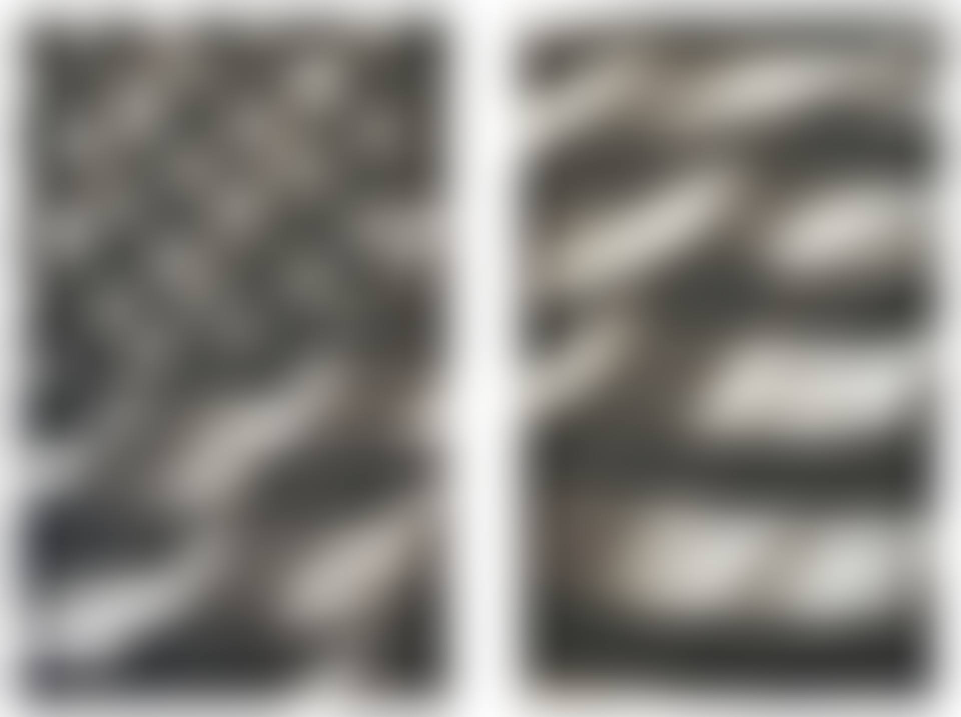 Study for American Flag (X-1 diptych) (preview)