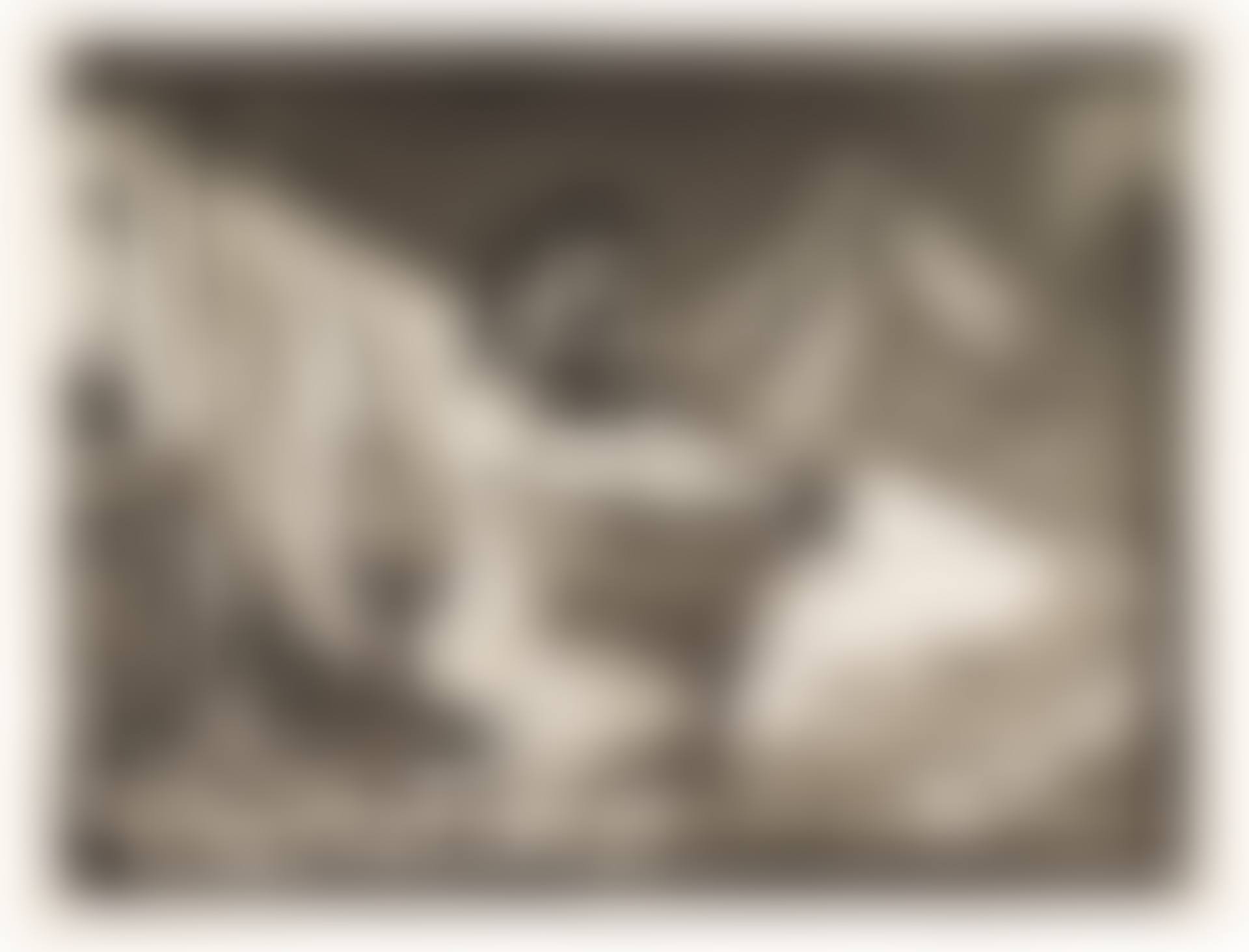 Faune dévoilant une femme, from La Suite Vollard (preview)