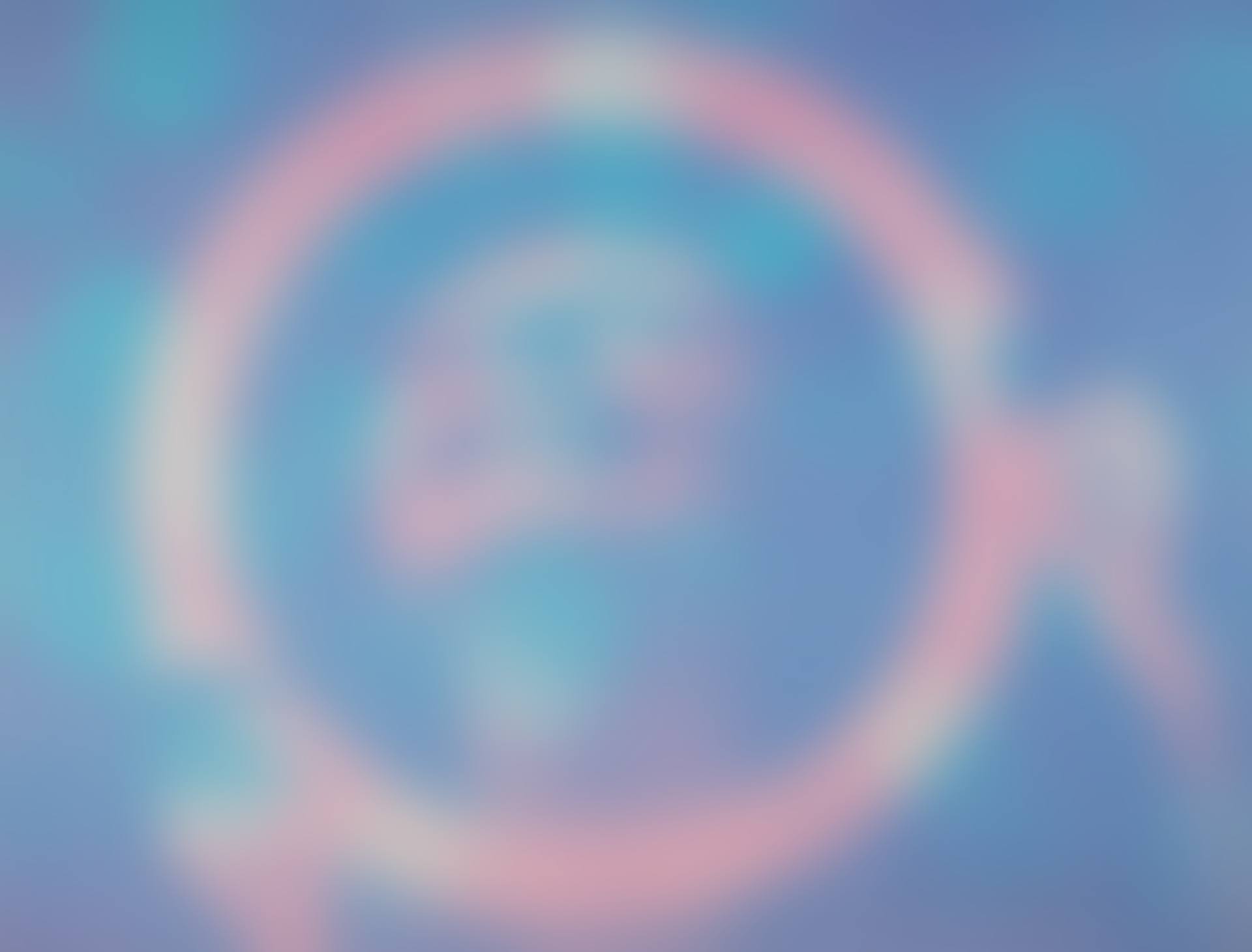 Somewhere to Light from New York International (preview)