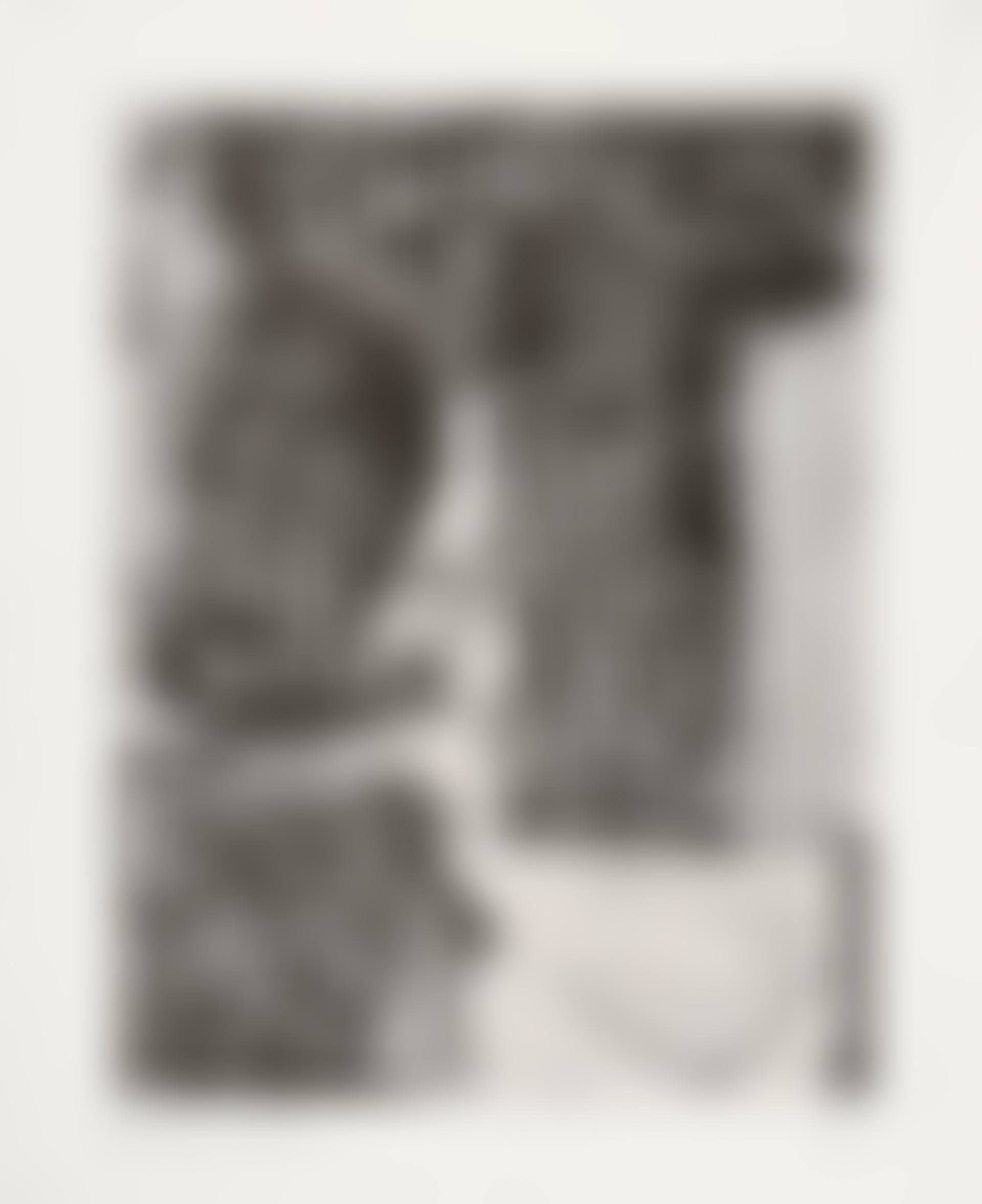 Signes, from Anatomy of my Universe (preview)