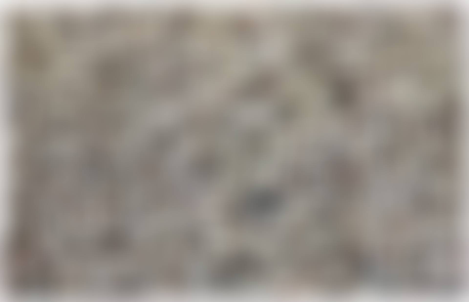 Mur d'oiseaux (preview)
