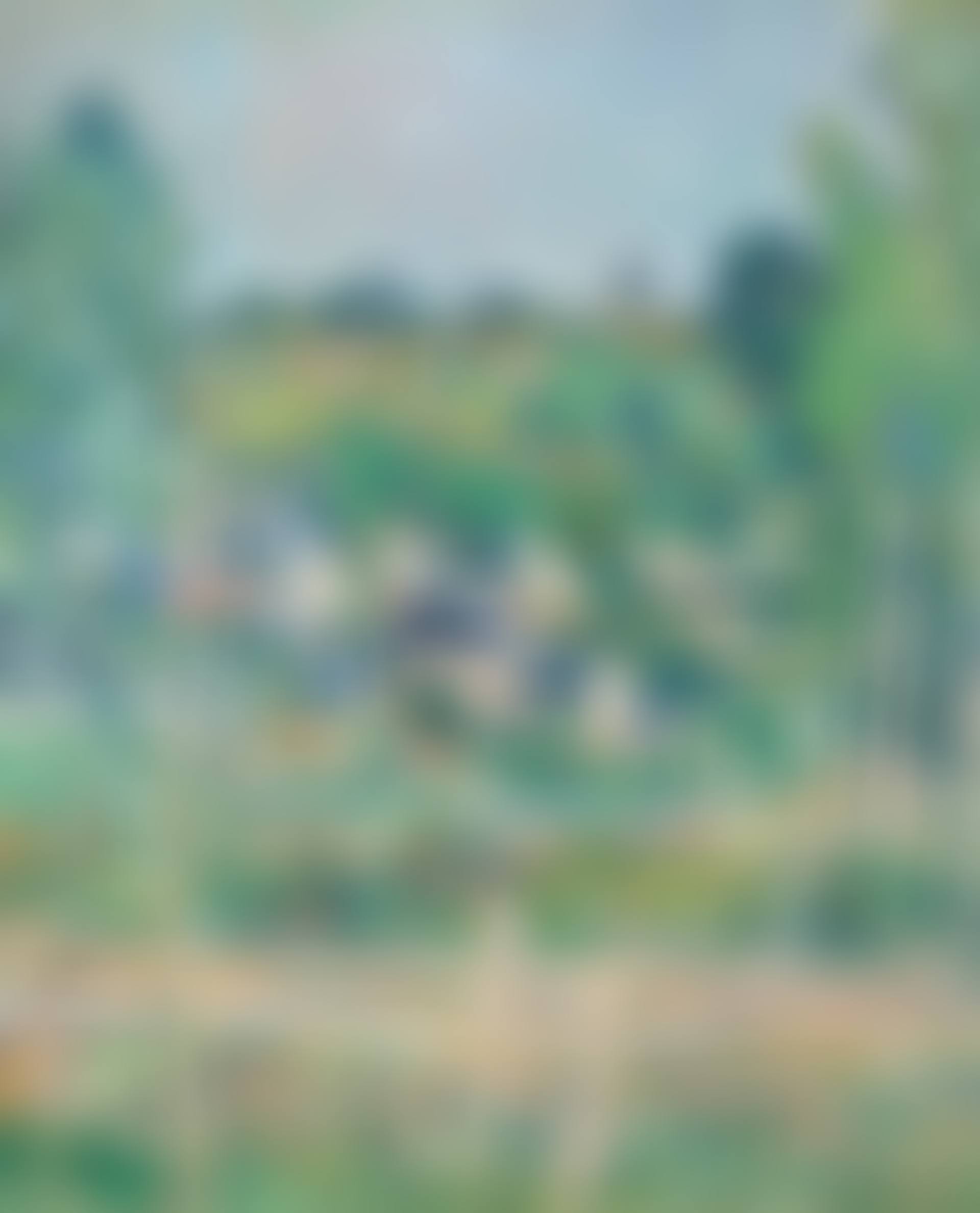 Vue d’Auvers-sur-Oise—La Barrière (preview)
