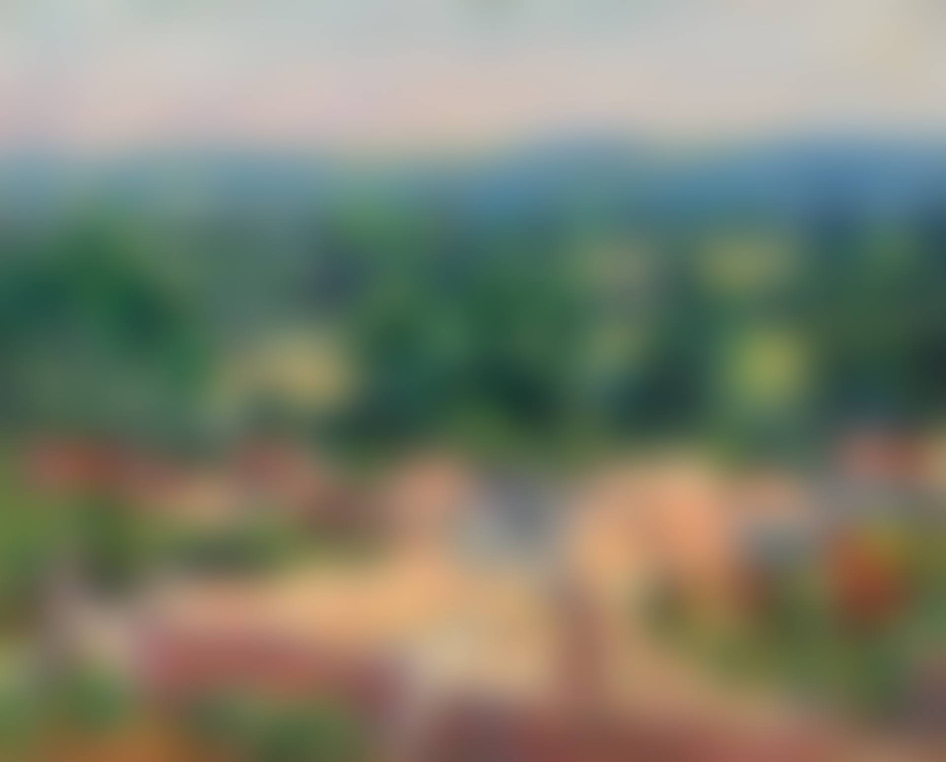 Vue du village de Giverny (preview)