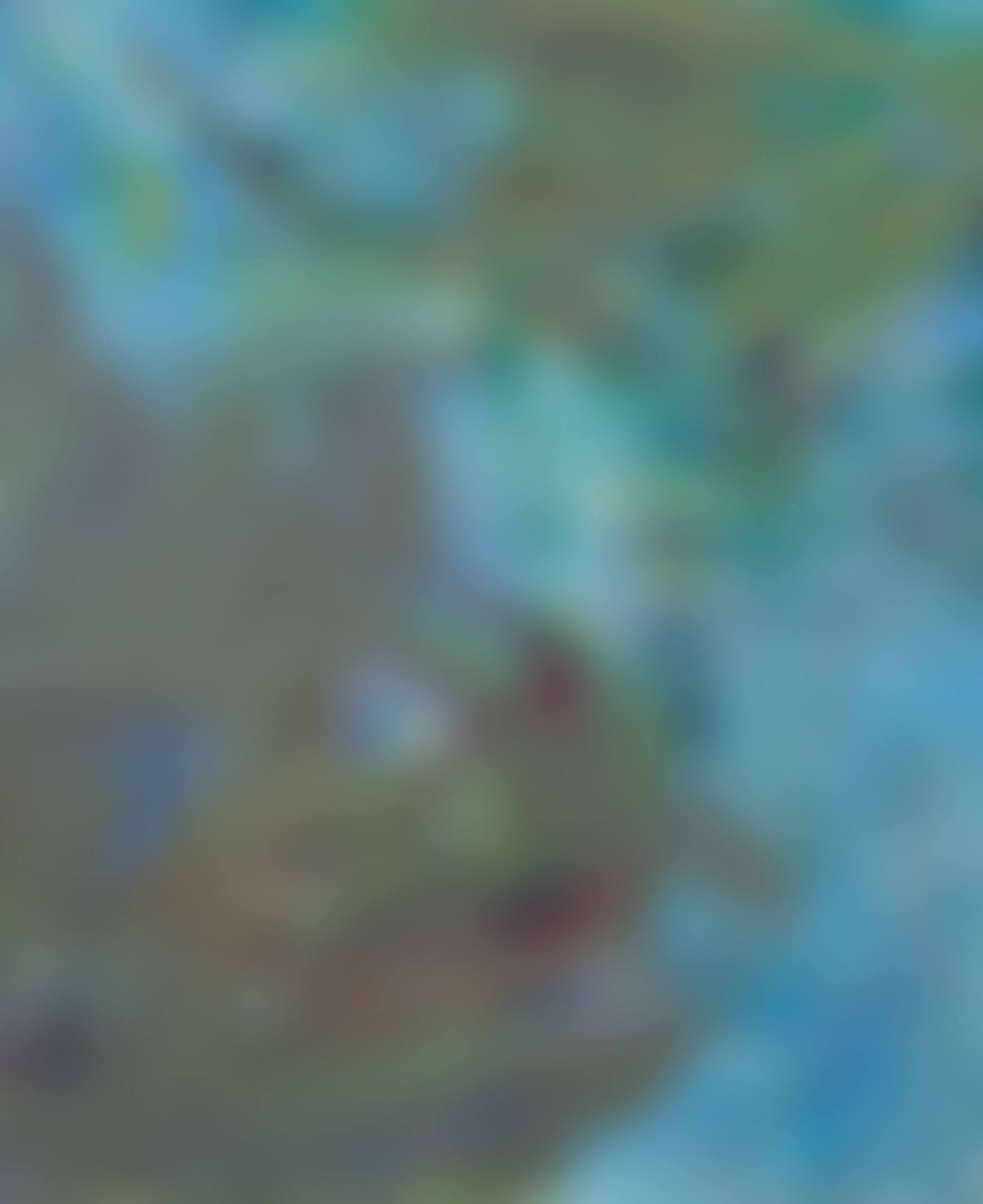Nymphéas (fragment) (preview)