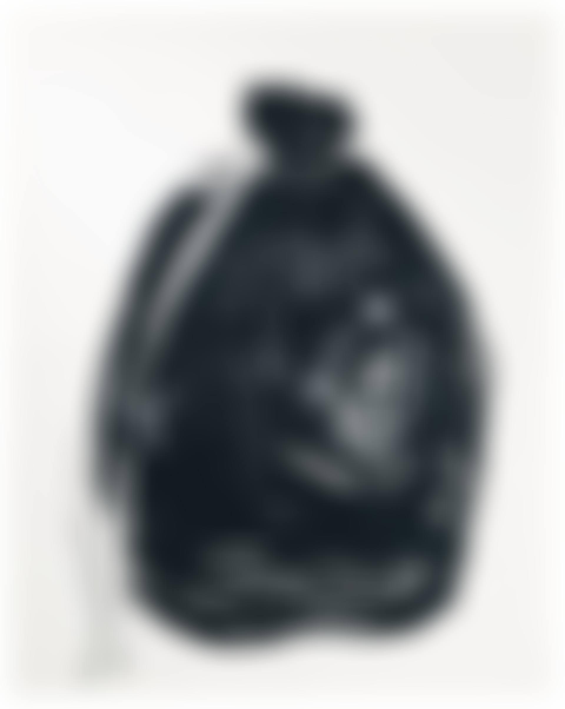 Garbage Bag 2 (preview)
