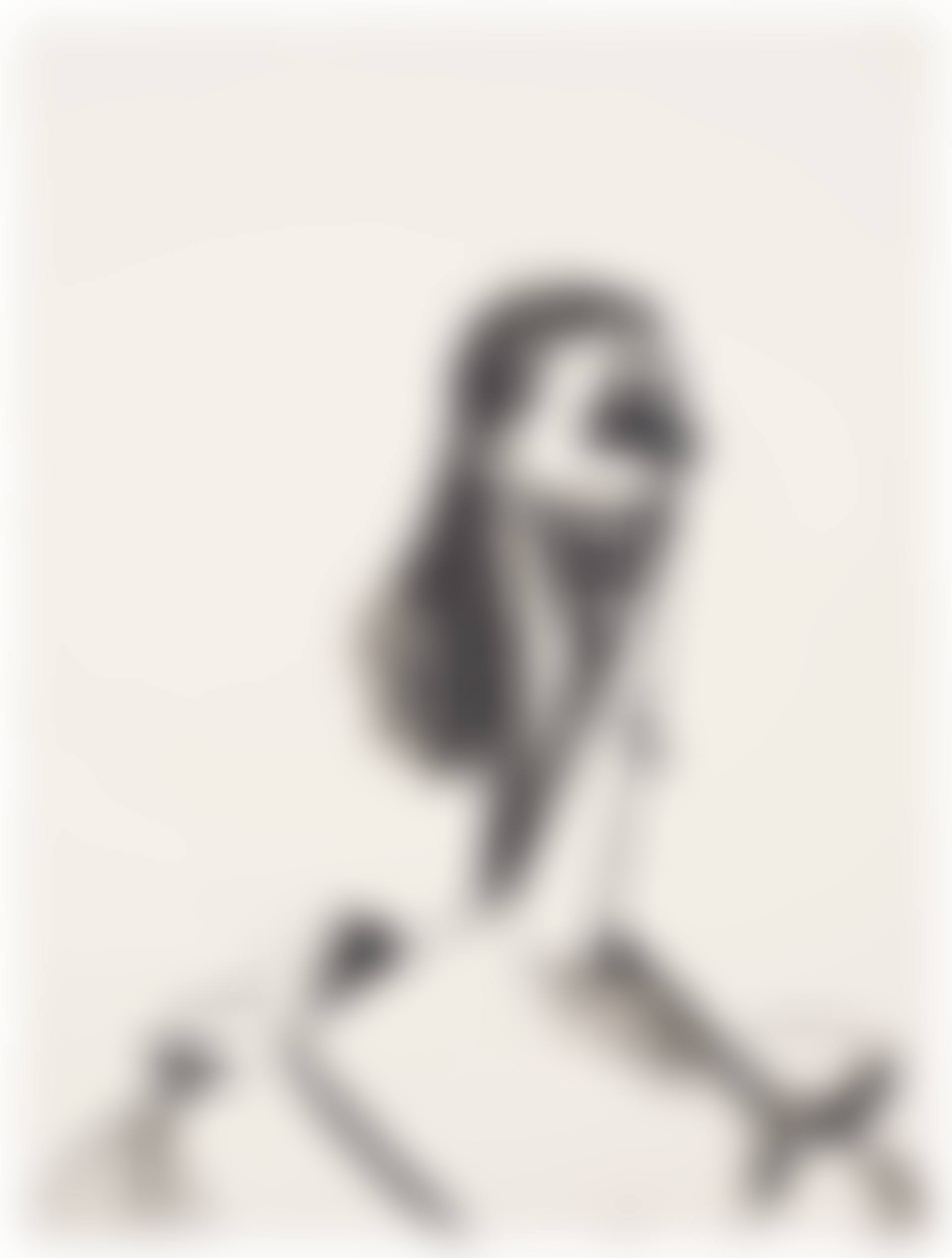 Smiling Woman (preview)