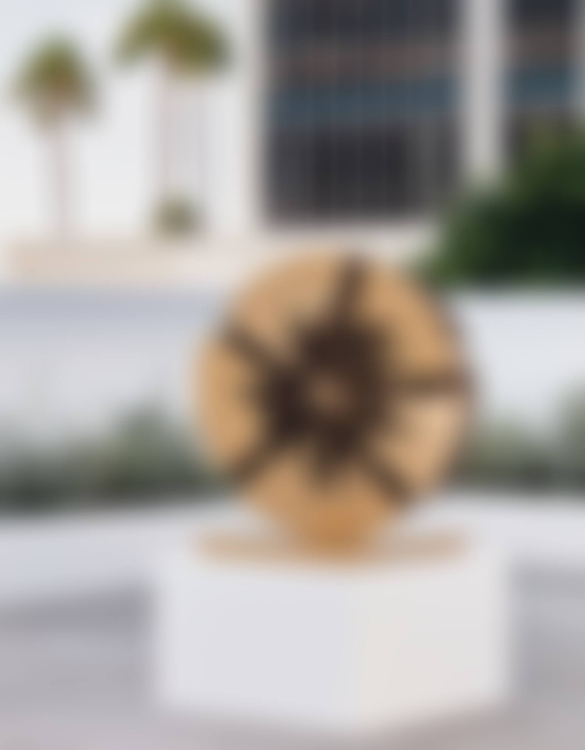Disco III, Maquette (preview)