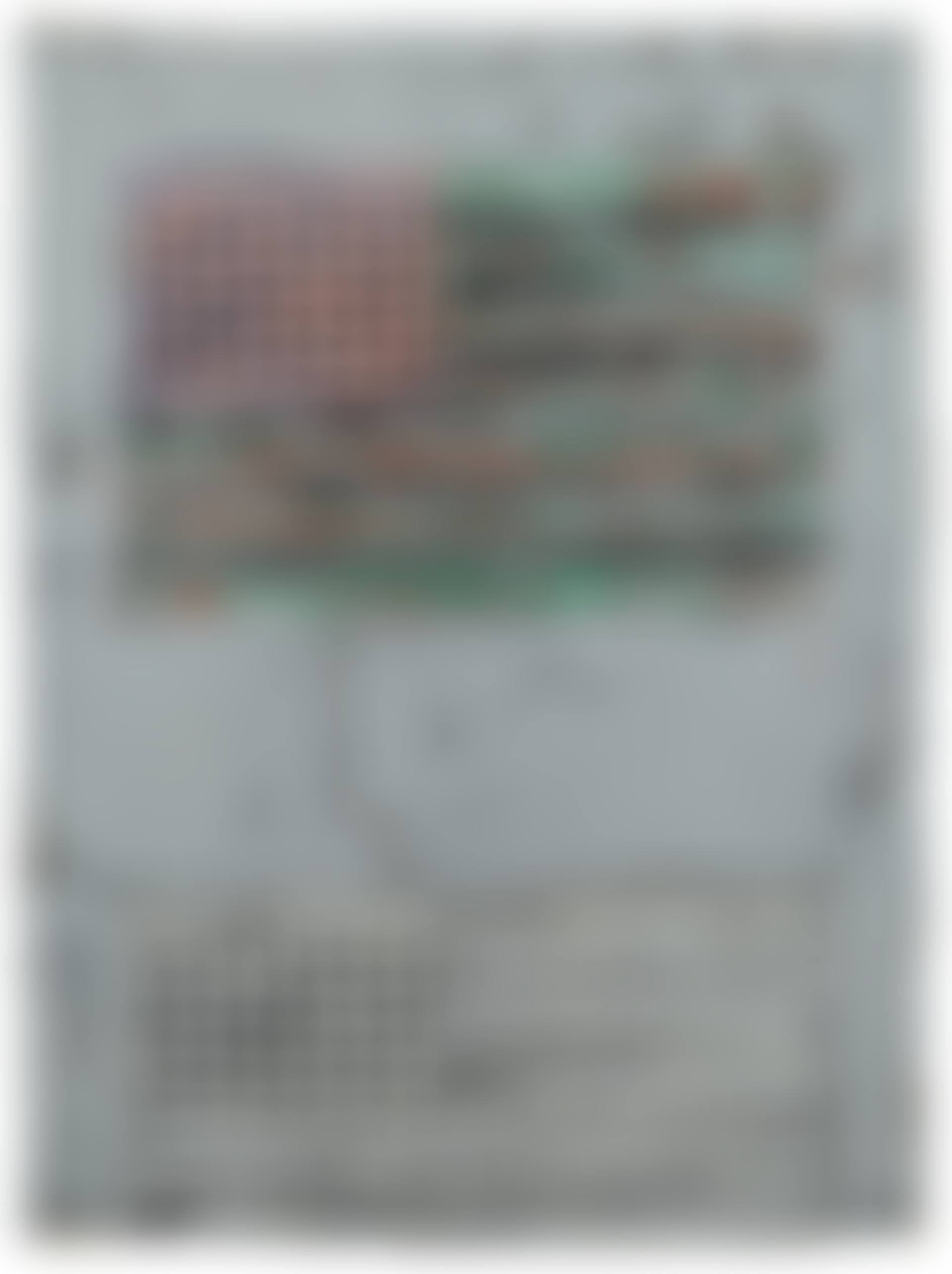 Flags II (preview)