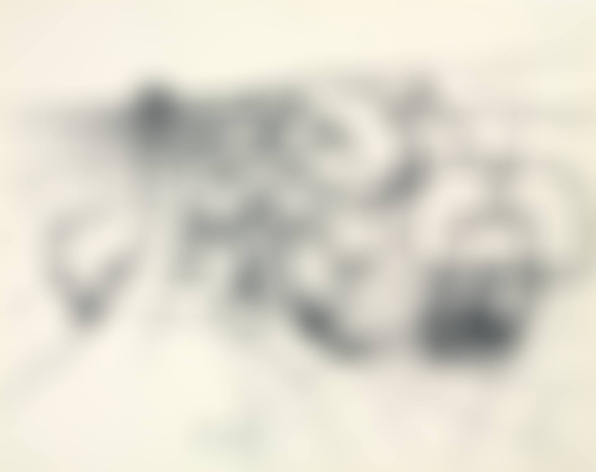 Web (preview)