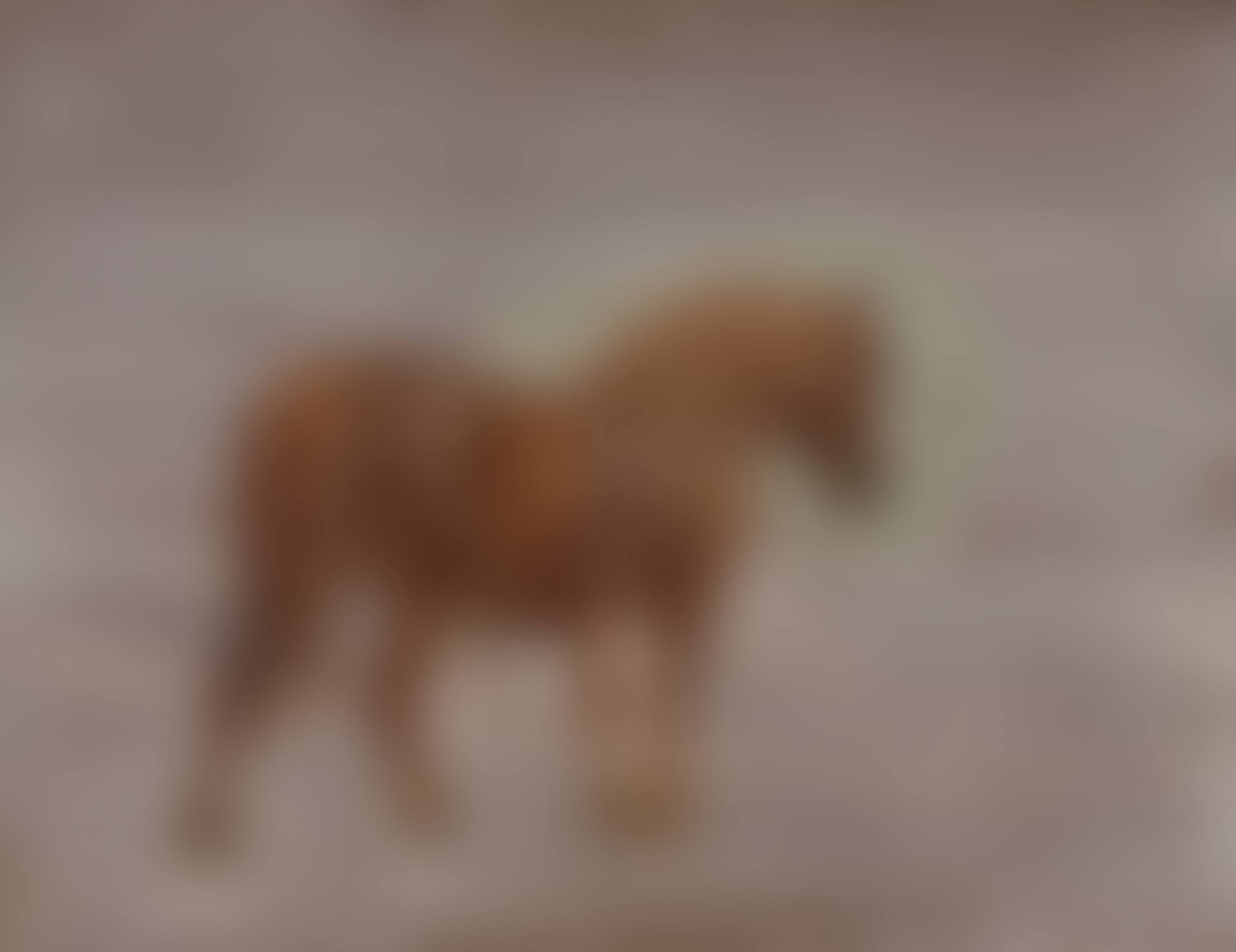 A Suffolk punch (recto); and Study of a horse and cart (verso) (preview)