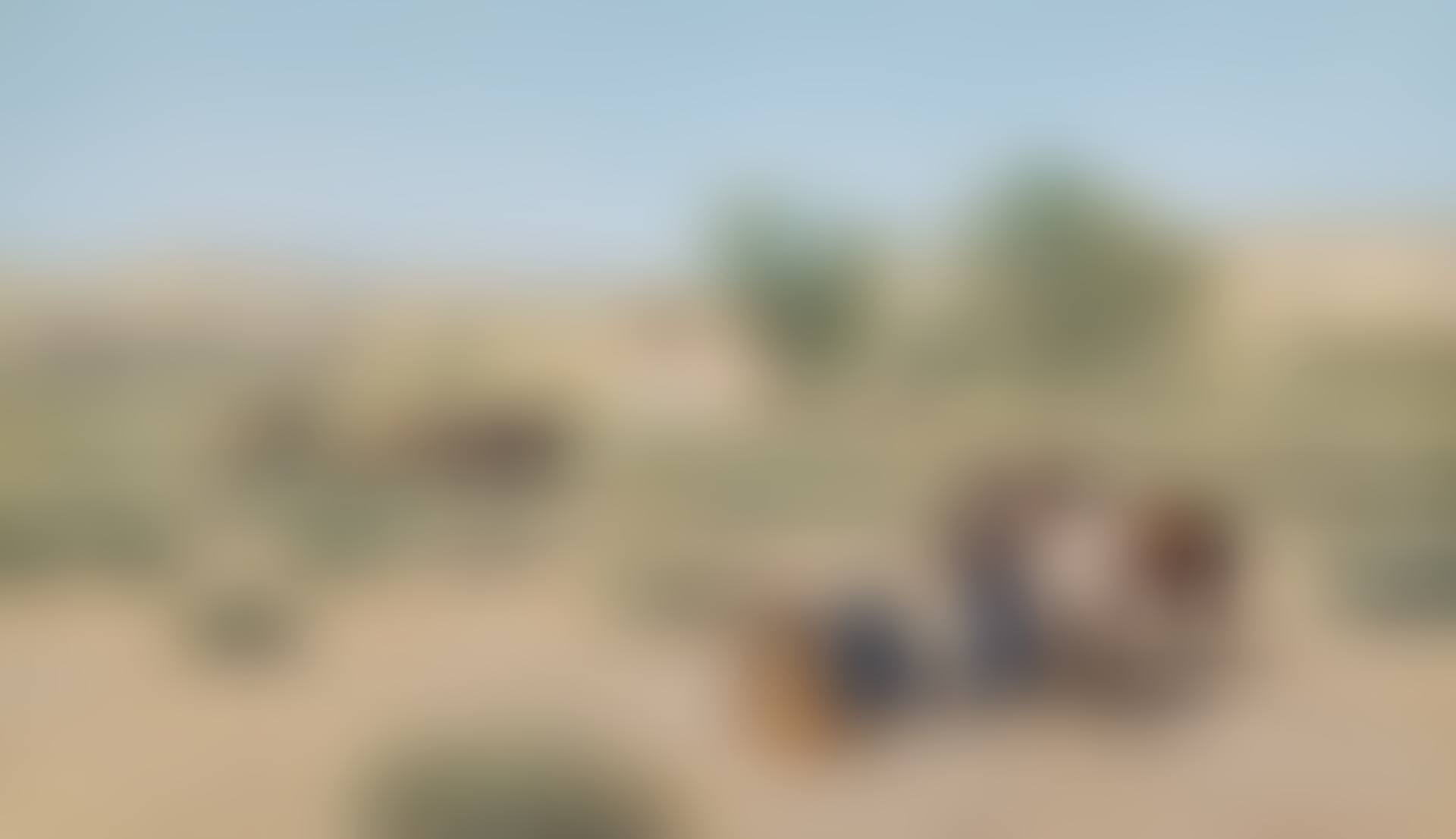 Indian Encampment (preview)