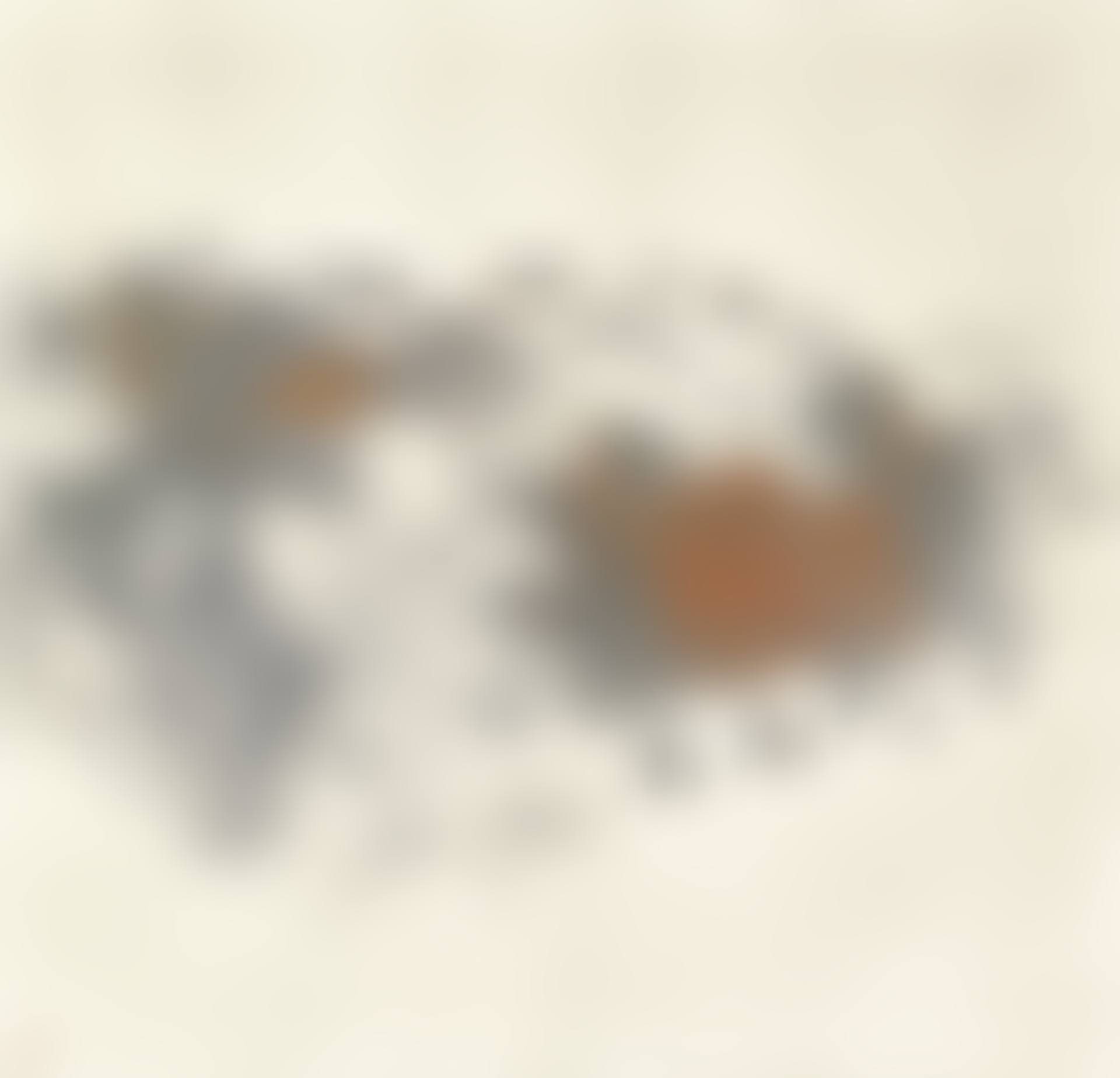 Landscape (preview)