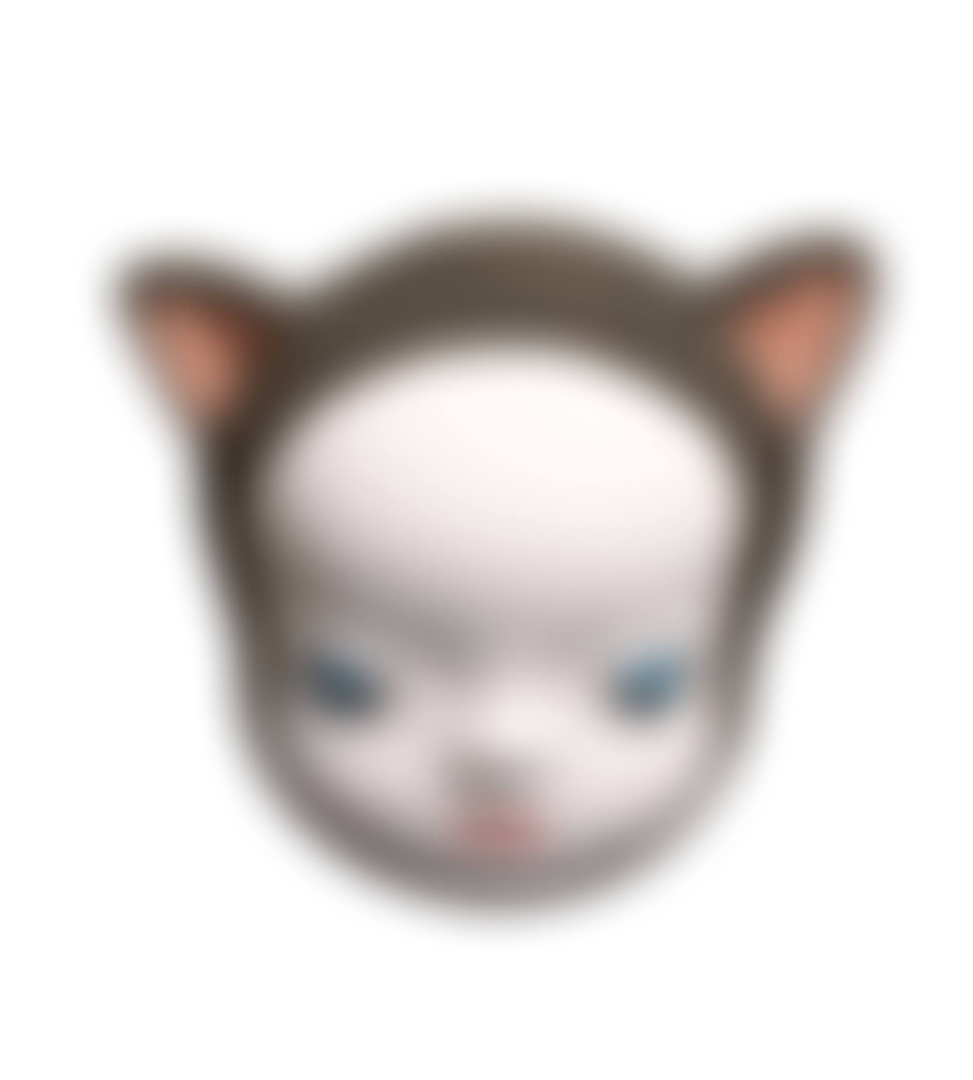 Upset Kitty (preview)