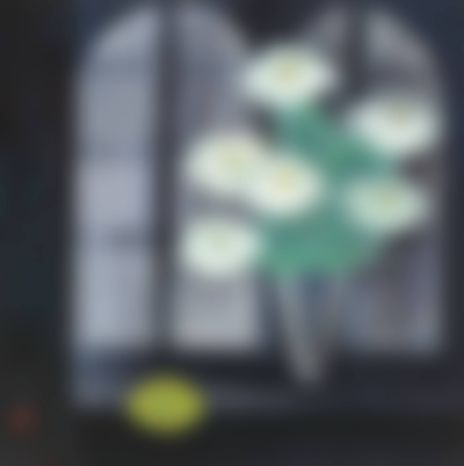 Cactus Flower (preview)