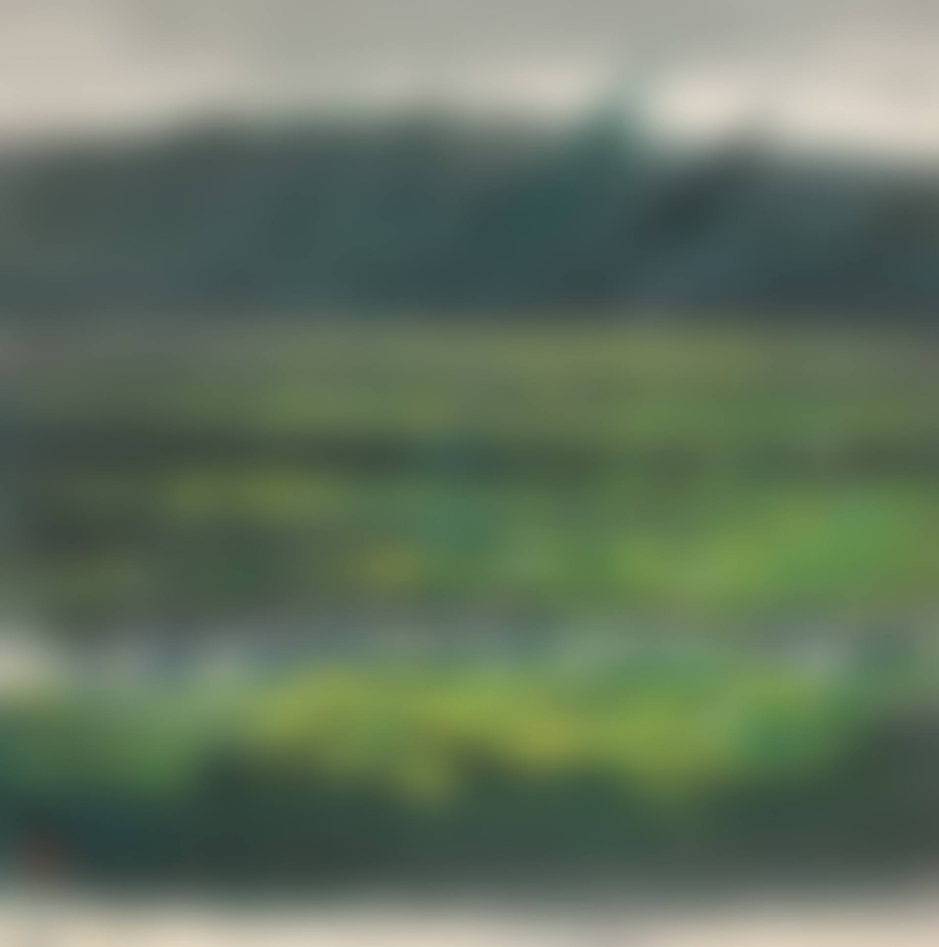 Lotus Pond (preview)