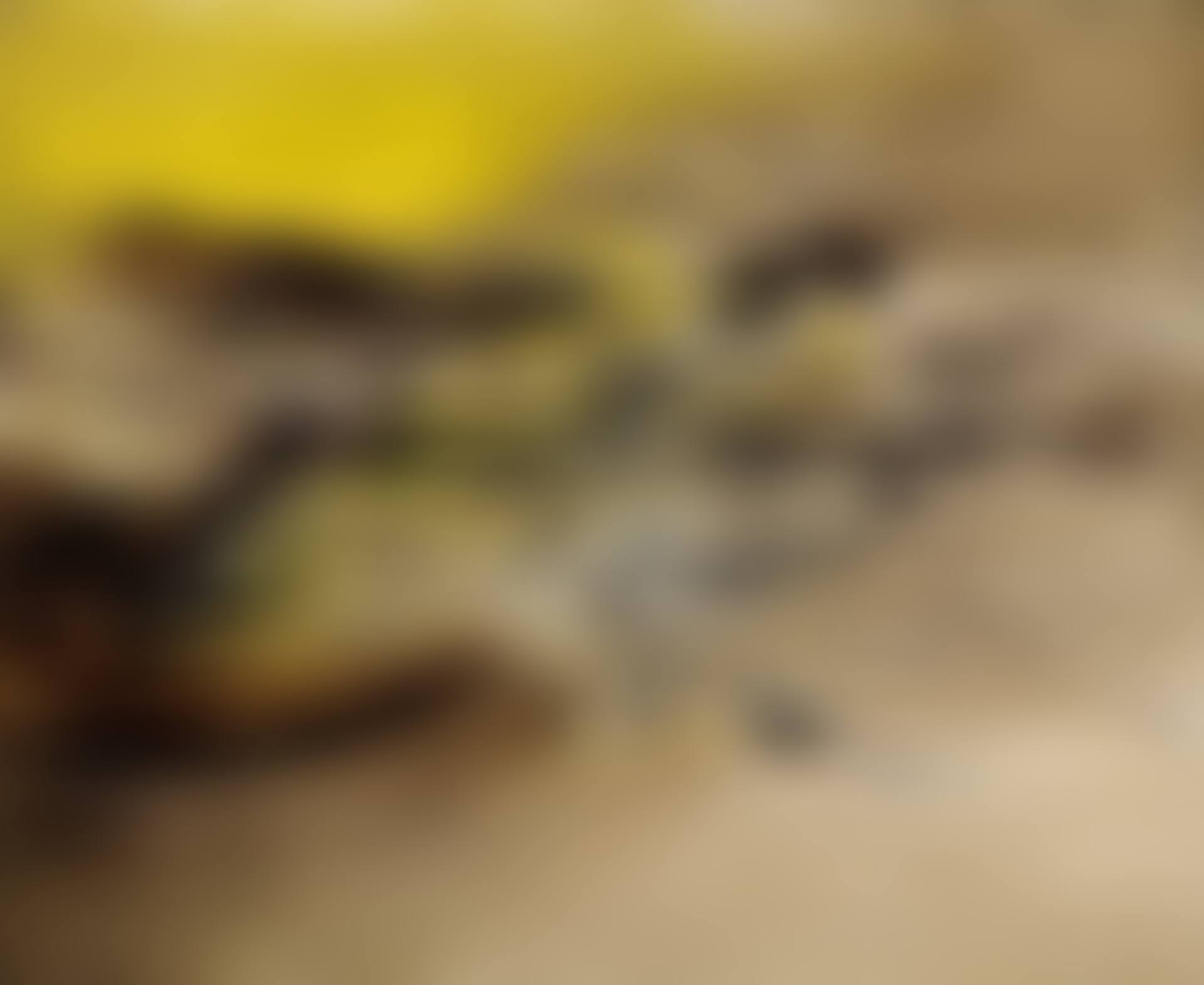 22.07.64 (preview)