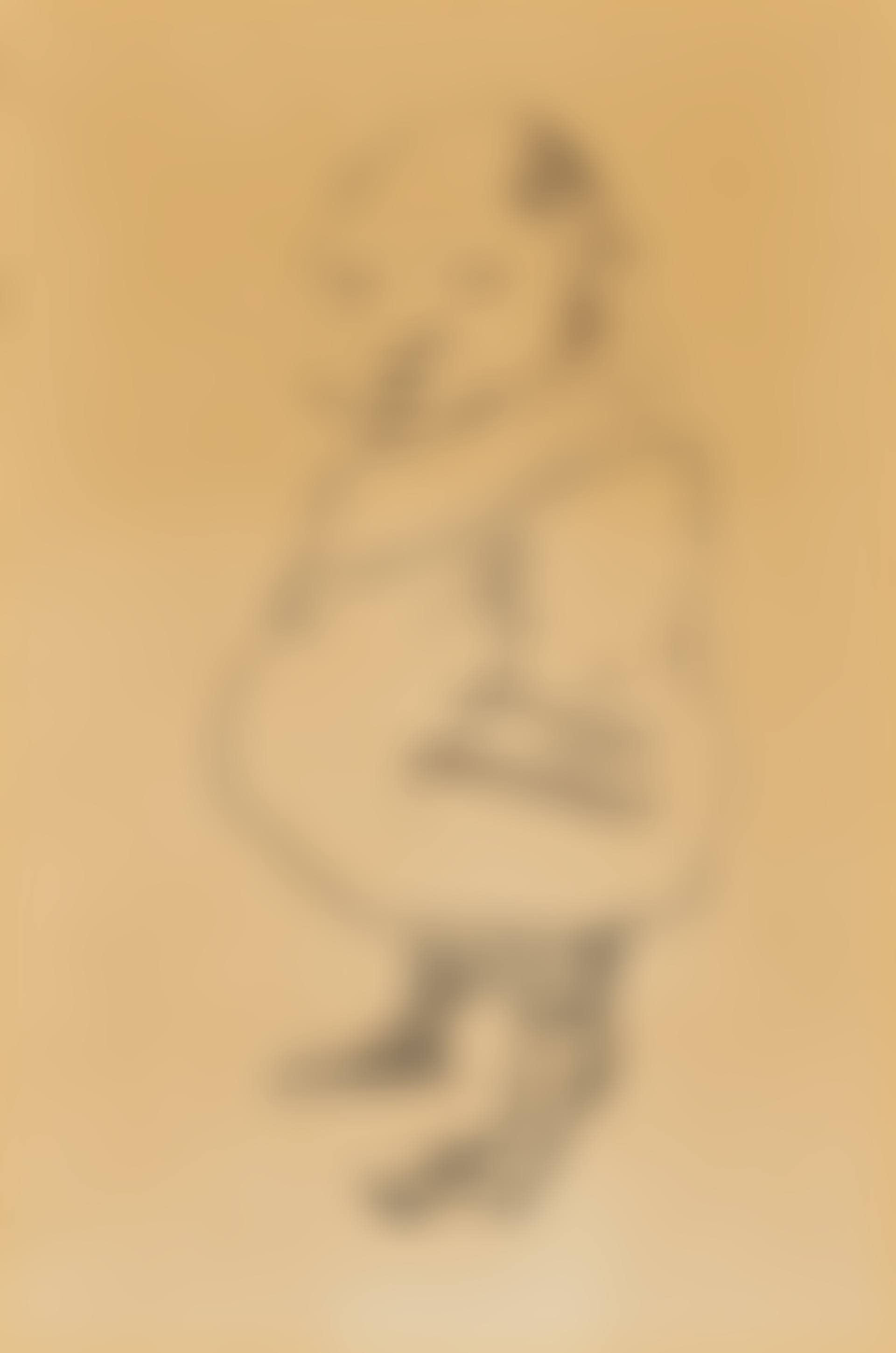 Caricature of a fat man (preview)