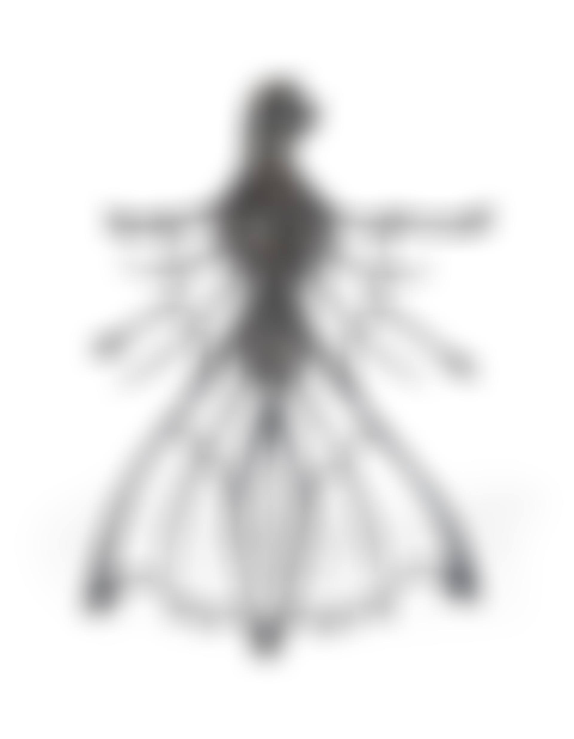 A RARE AND IMPORTANT ‘FEMME AILÉE’ SCULPTURE (preview)